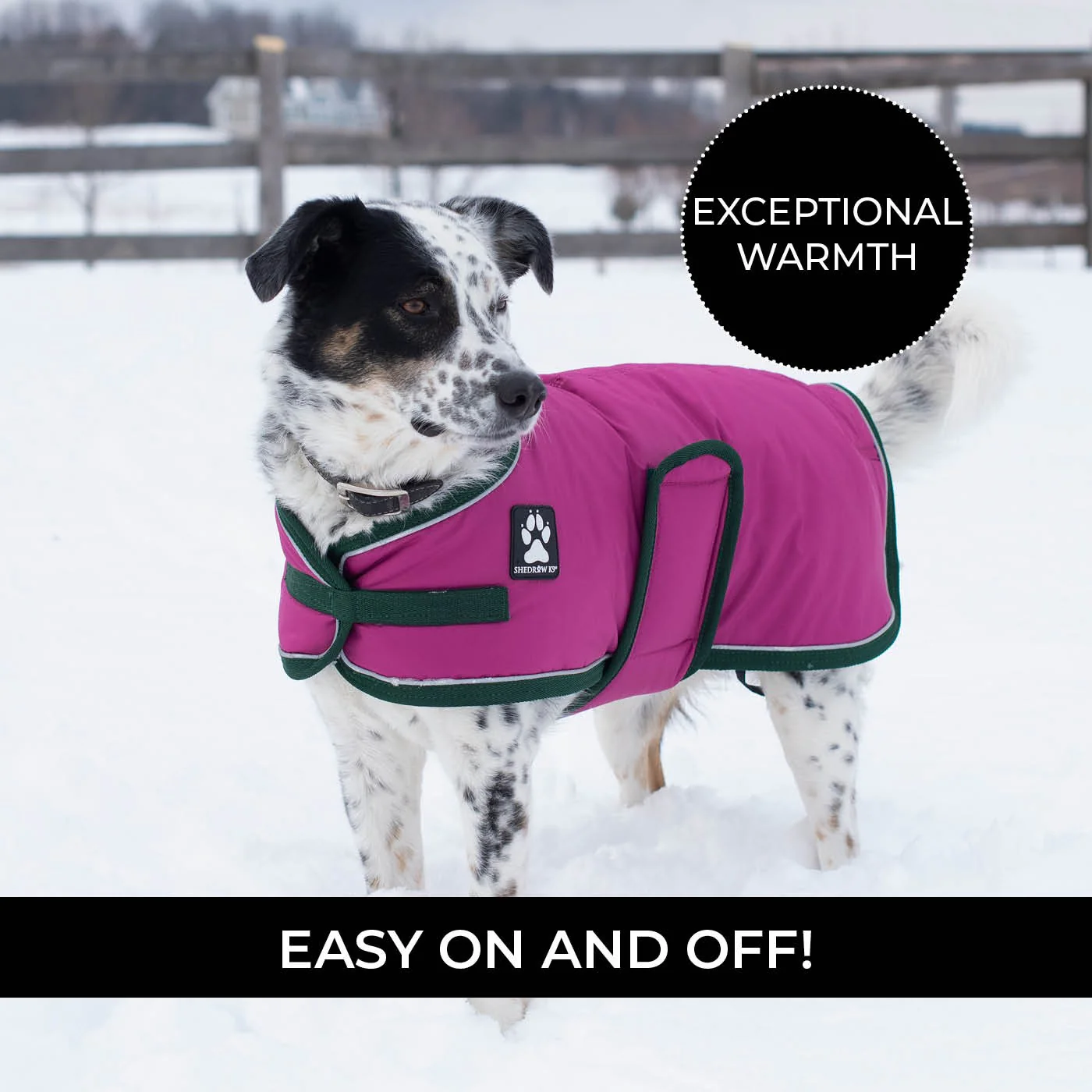 Shedrow K9 Vail Dog Coat - Image 11