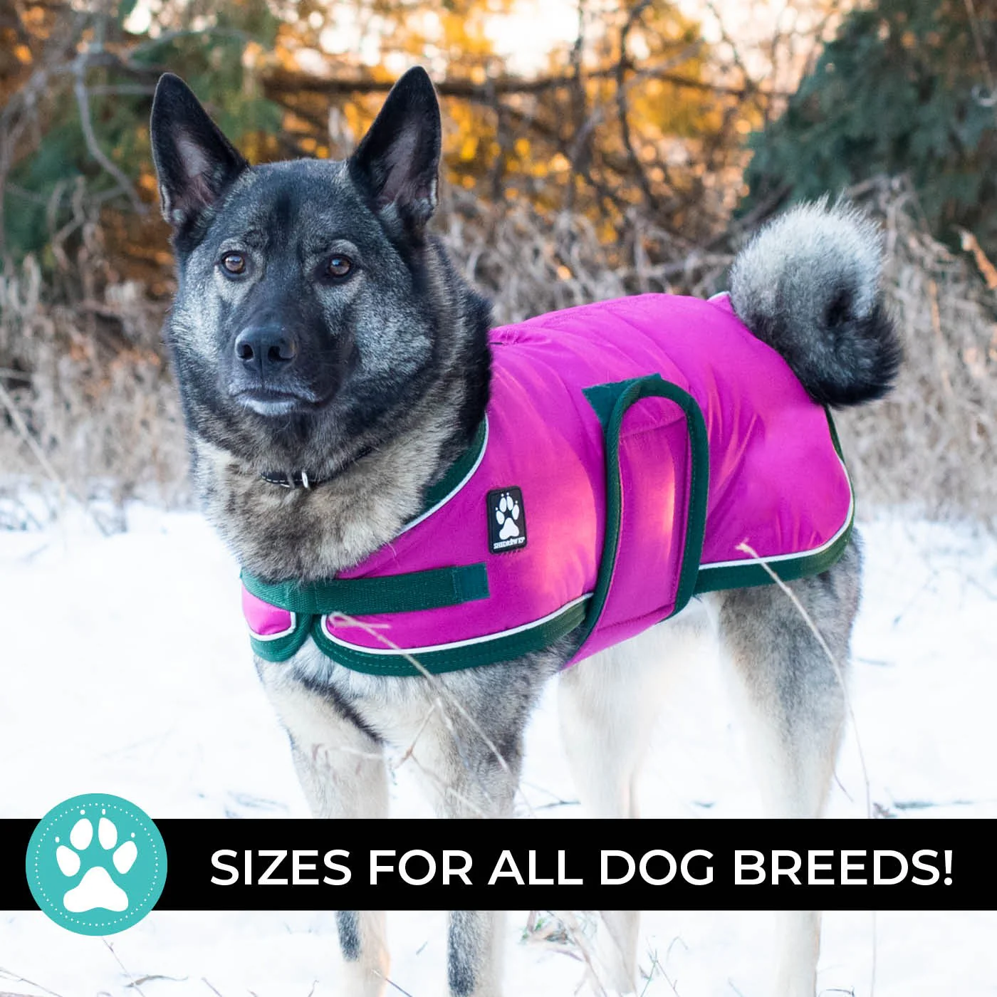 Shedrow K9 Vail Dog Coat - Image 12