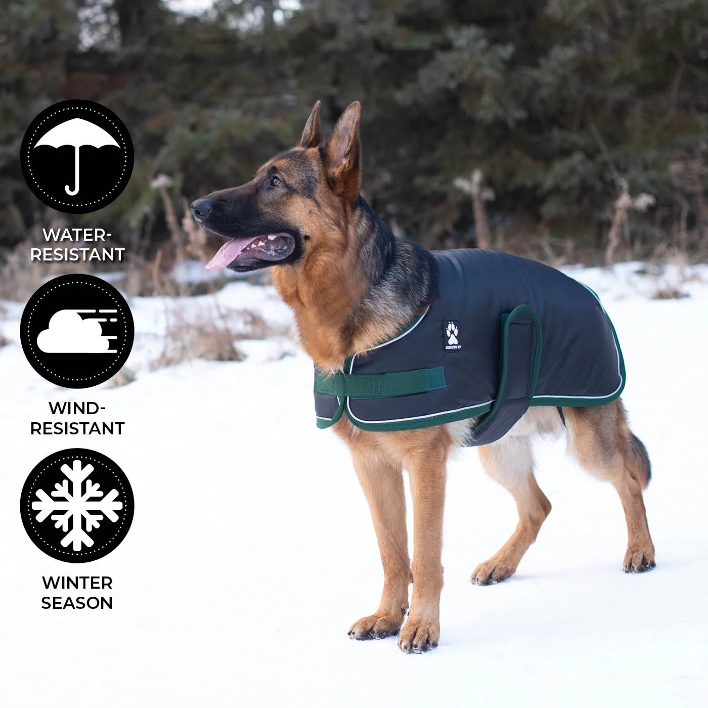 Shedrow K9 Vail Dog Coat - Image 21