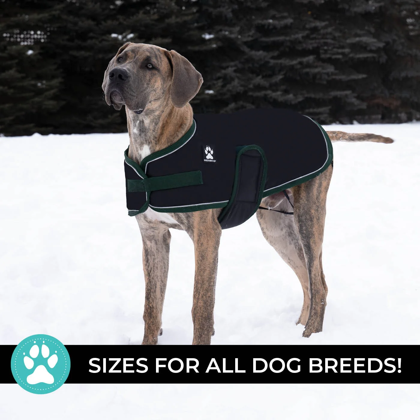 Shedrow K9 Vail Dog Coat - Image 24