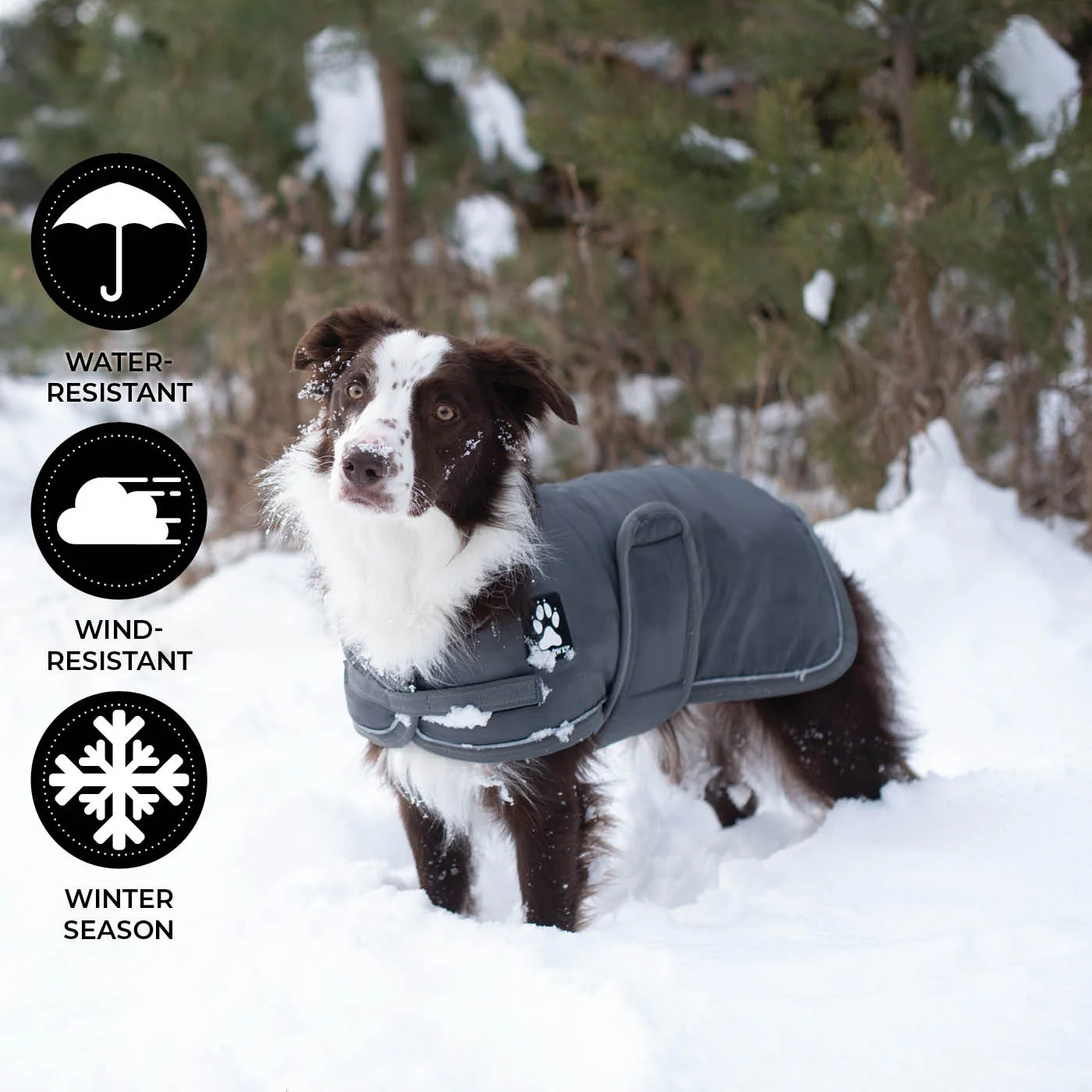 Shedrow K9 Vail Dog Coat - Image 27