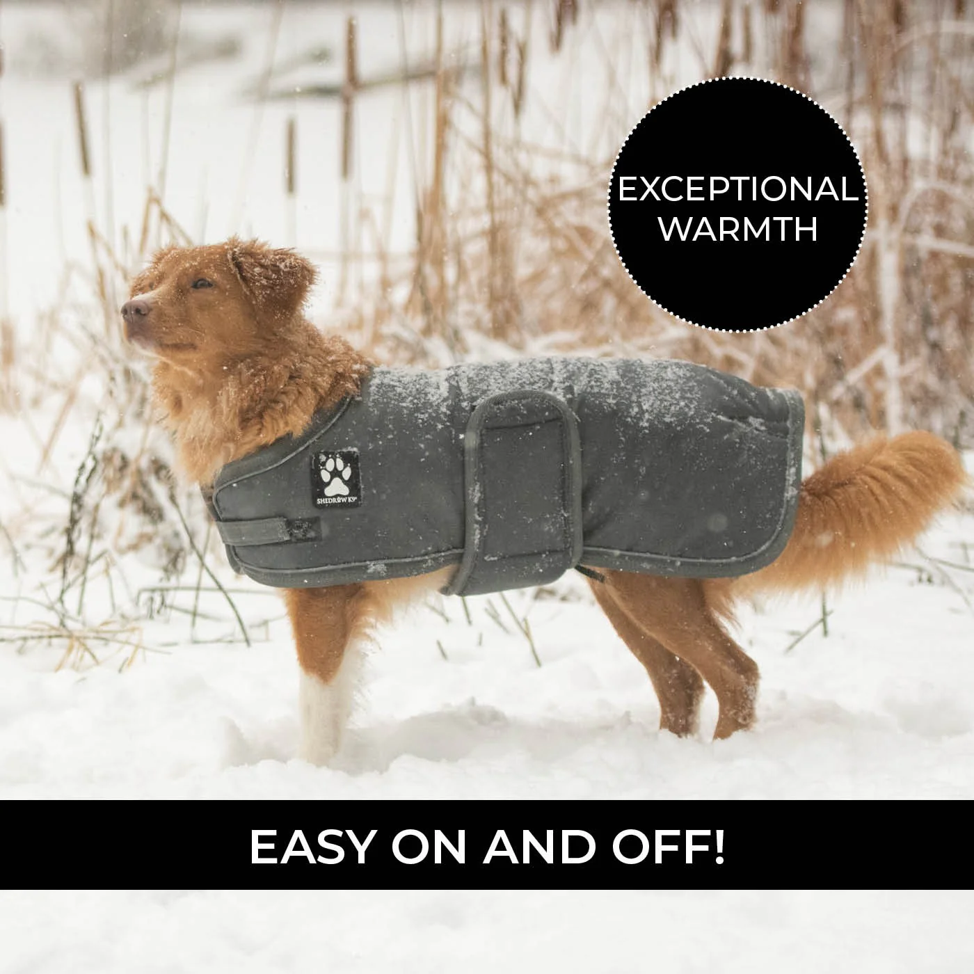 Shedrow K9 Vail Dog Coat - Image 29