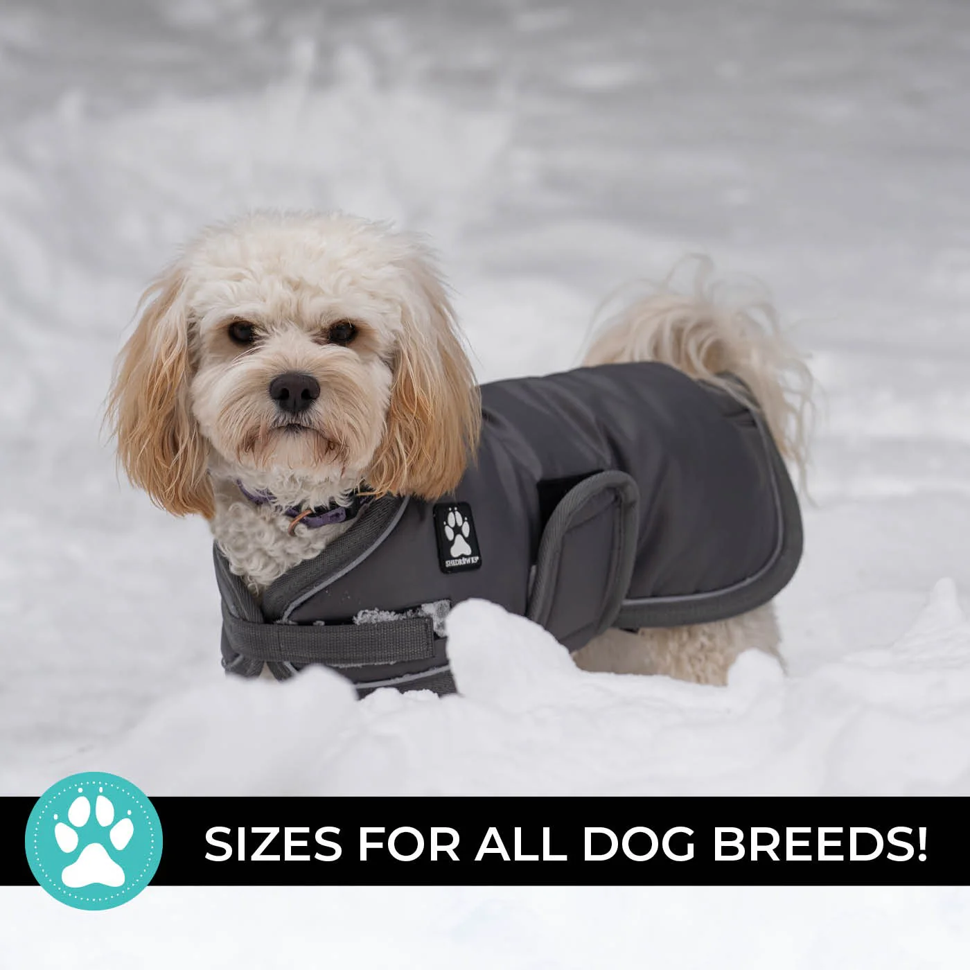 Shedrow K9 Vail Dog Coat - Image 30