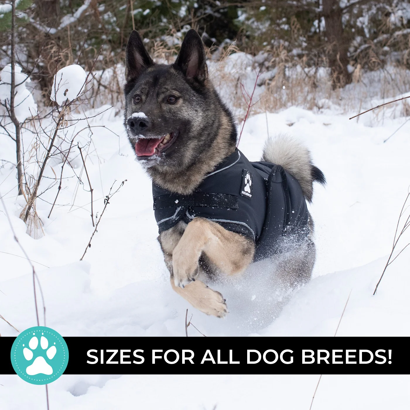 Shedrow K9 Vail Dog Coat - Image 35