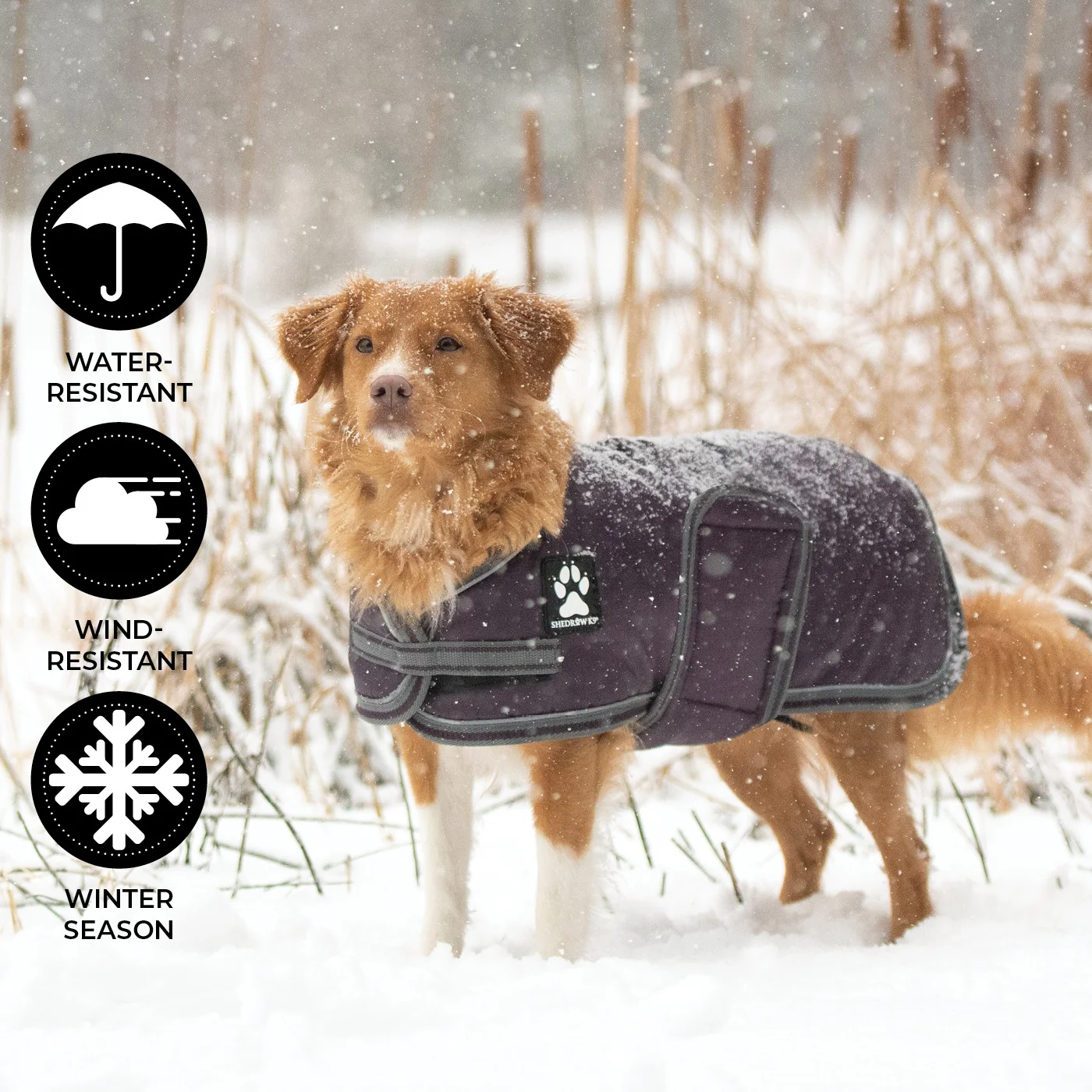 Shedrow K9 Vail Dog Coat - Image 39