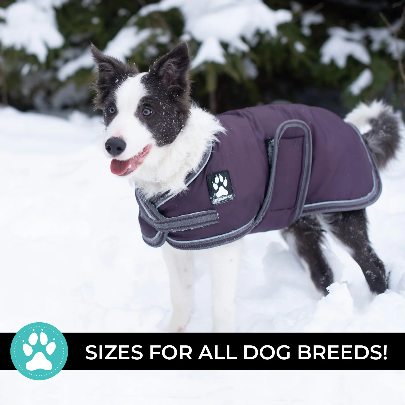 Shedrow K9 Vail Dog Coat - Image 42