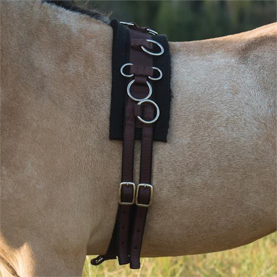 Shedrow Nylon Mini Surcingle - Image 2