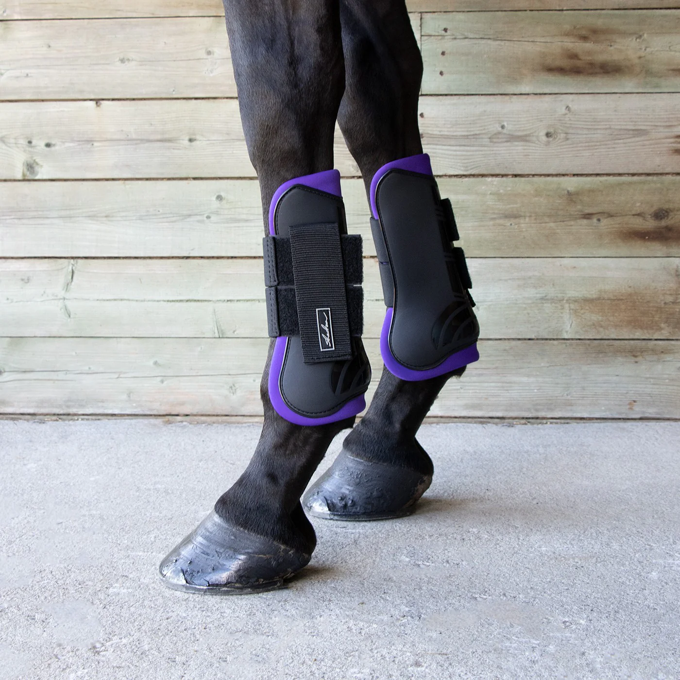 Shedrow Open Front Boots W/ Coloured Lining - Image 15