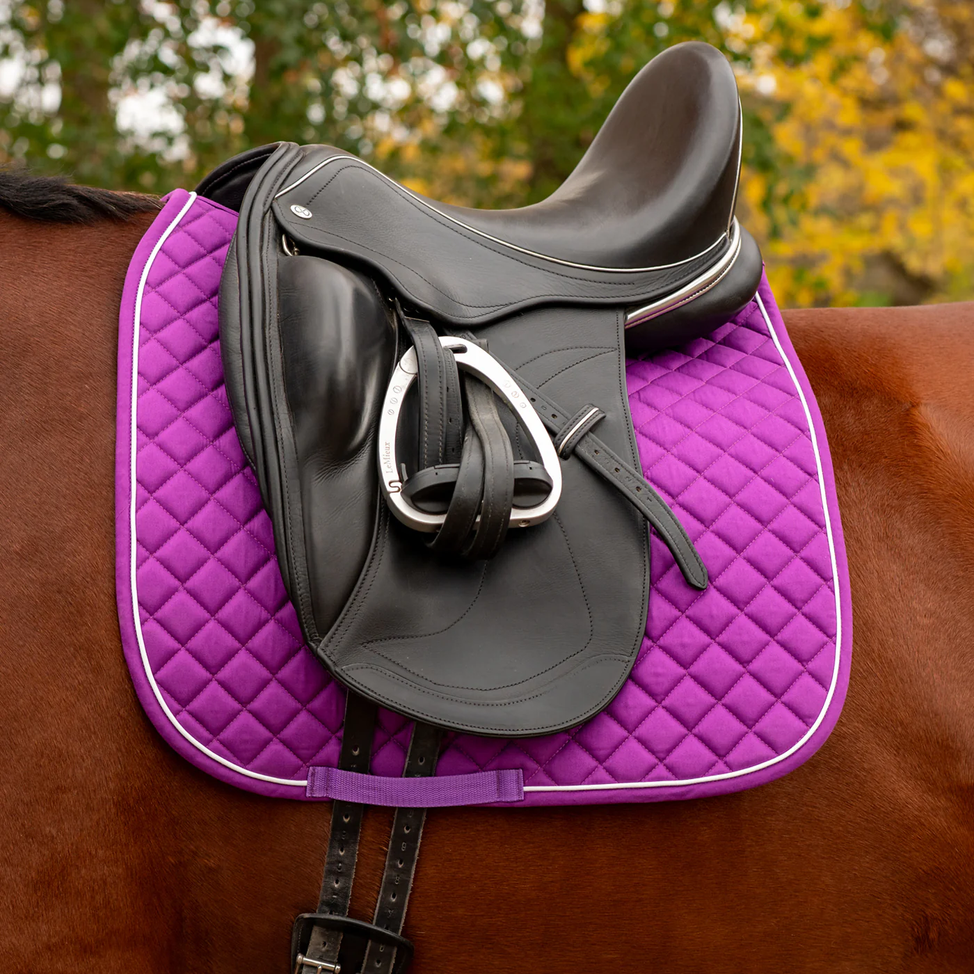 Shedrow Original Dressage Saddle Pad 2.0 - Image 6
