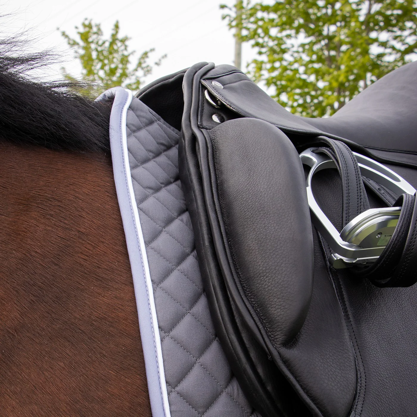 Shedrow Original Dressage Saddle Pad - Image 10
