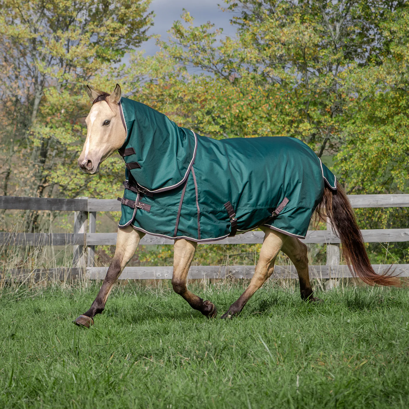 Shedrow Rainsheet W/ Hood 0 g - Image 3