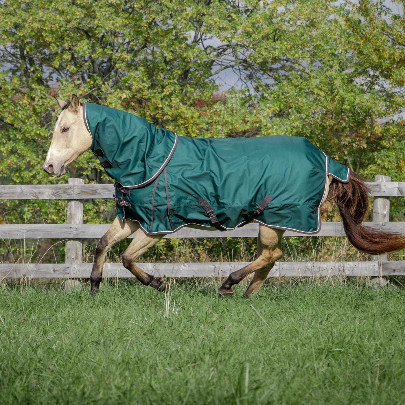 Shedrow Rainsheet W/ Hood 0 g - Image 4