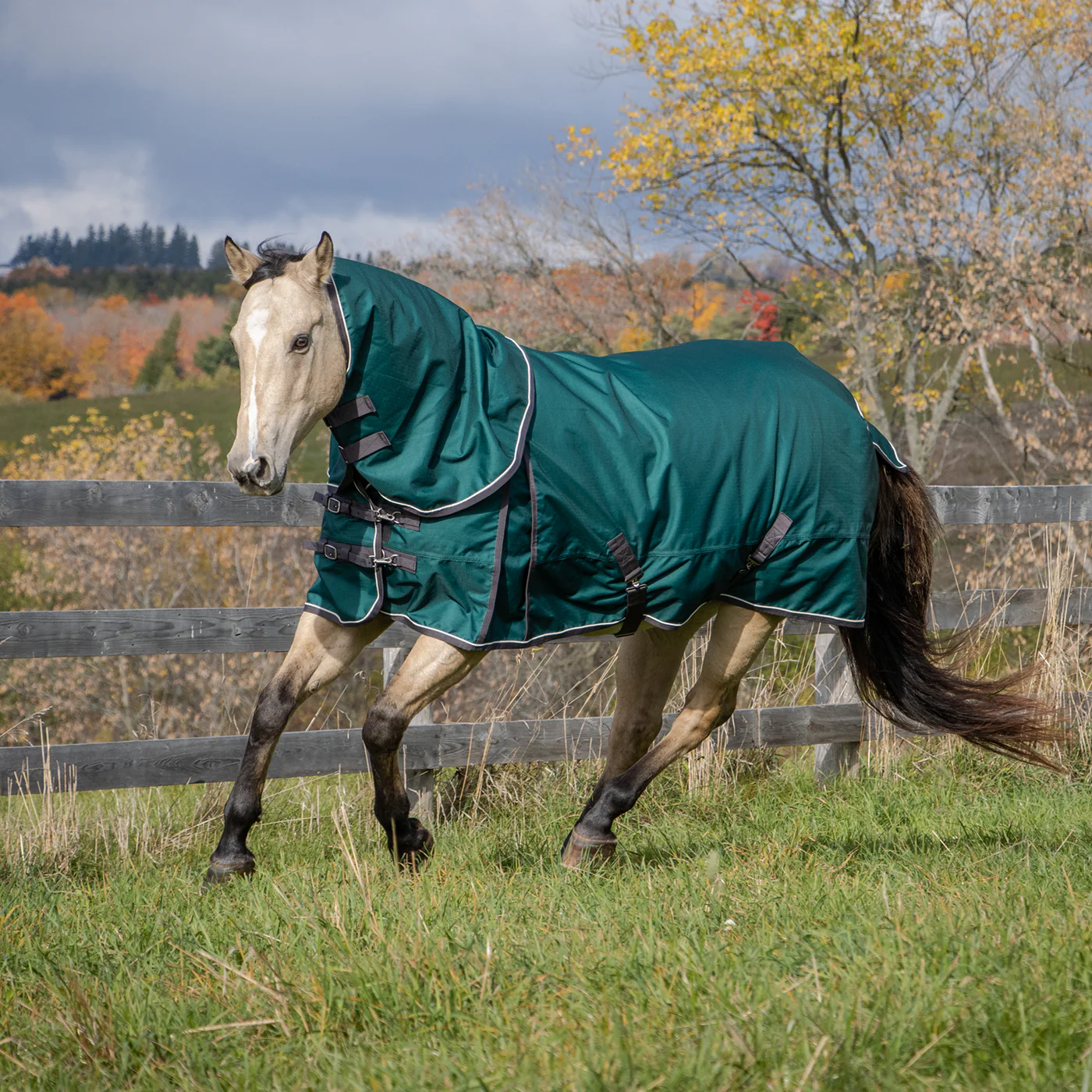 Shedrow Rainsheet W/ Hood 0 g - Image 5