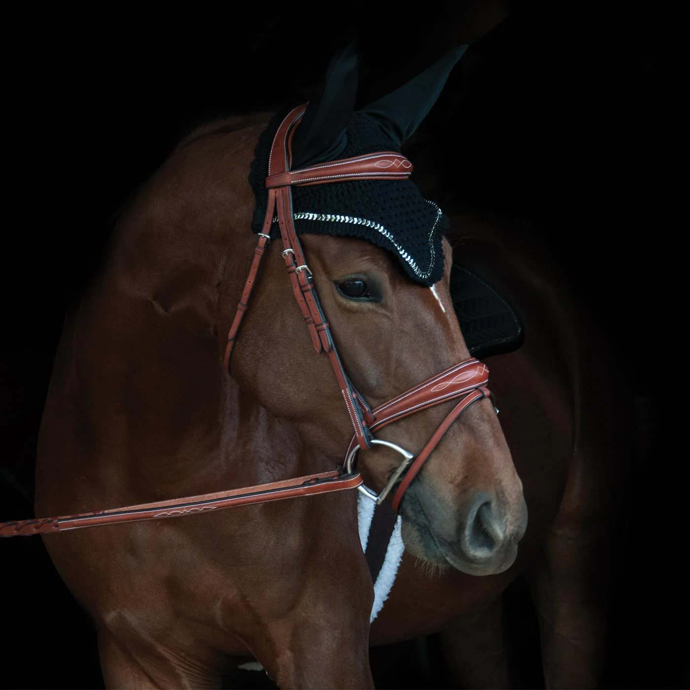 Shedrow Saber Fly Veil - Image 12