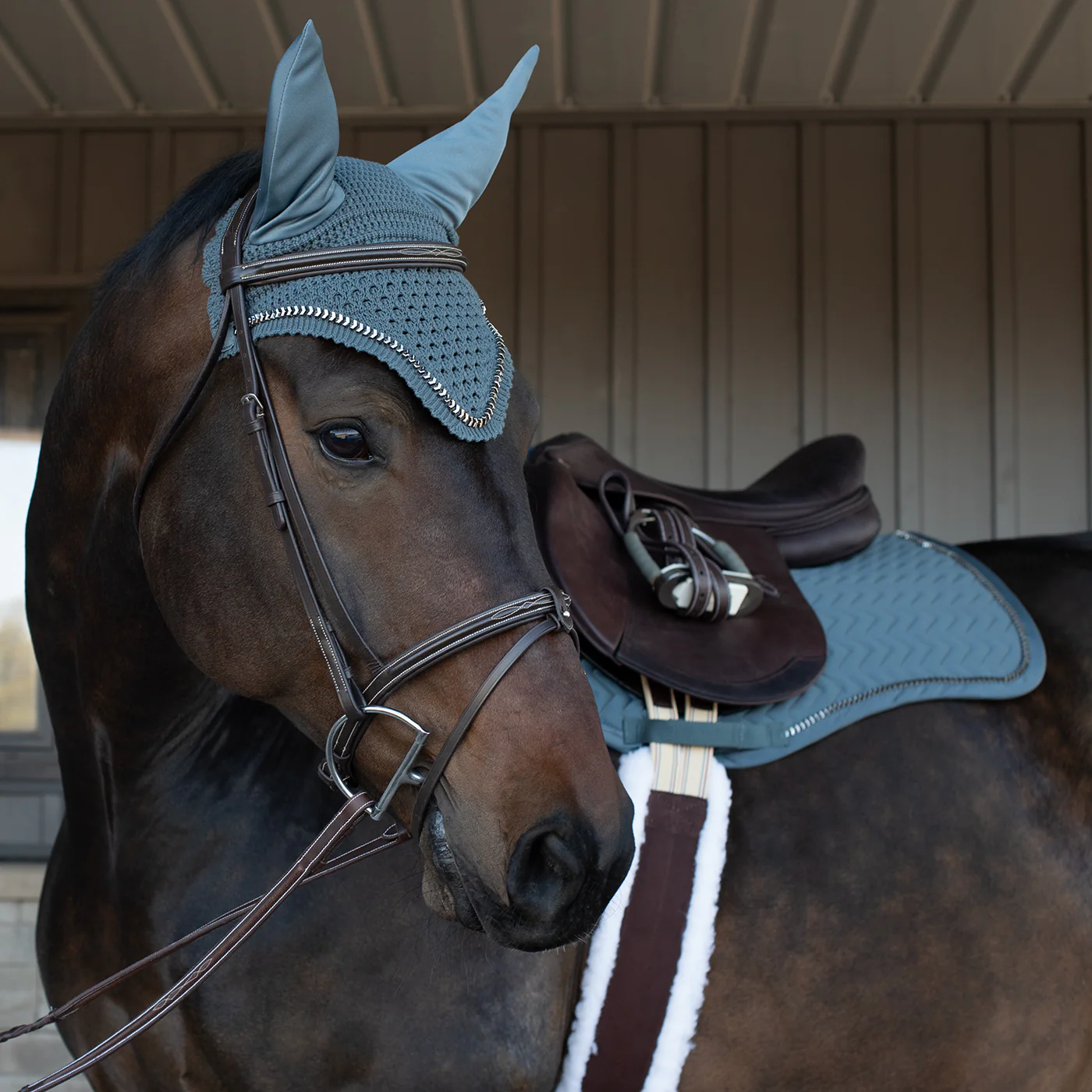 Shedrow Saber Fly Veil - Image 6