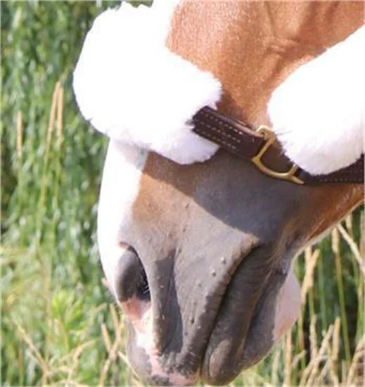 Shedrow Sheepskin Nose Cover - Image 3