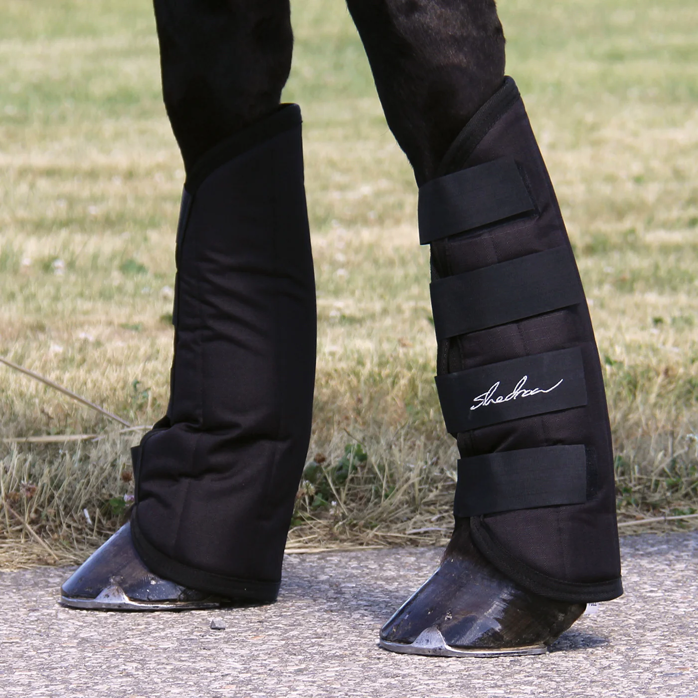 Shedrow Shipping Boots - Image 3