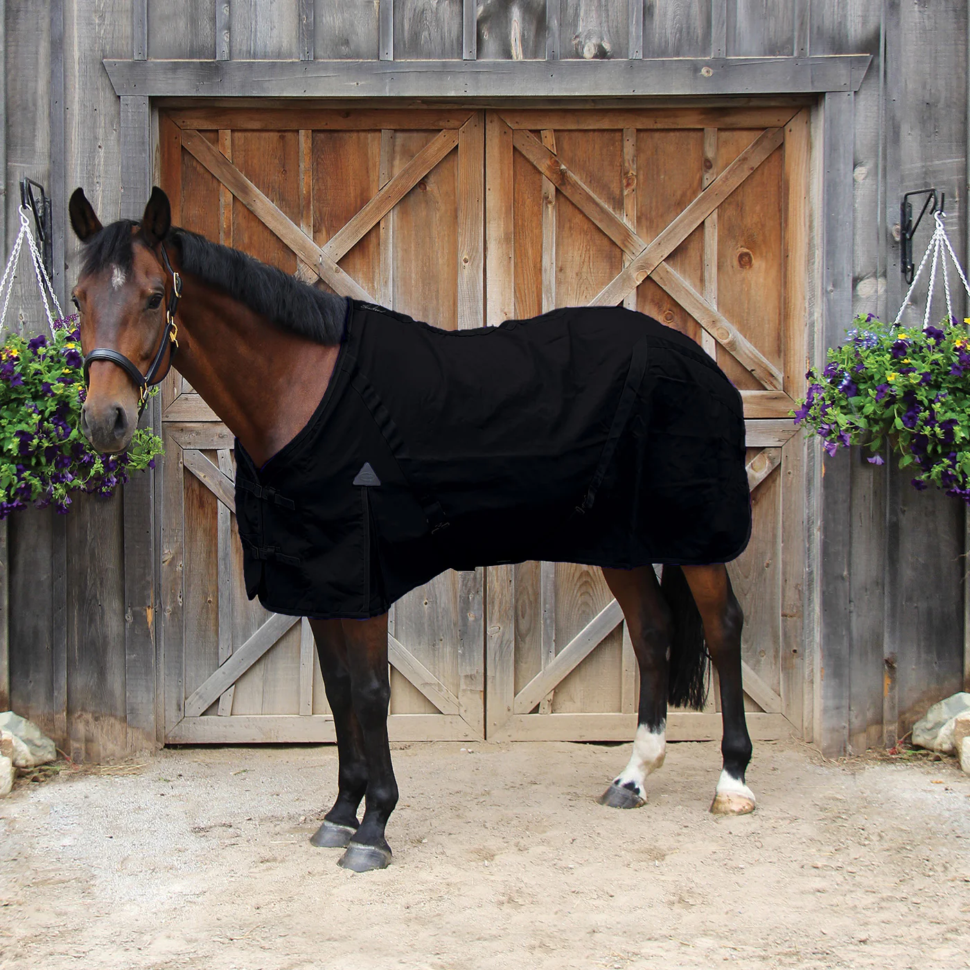 Shedrow Stable Sheet - Image 3