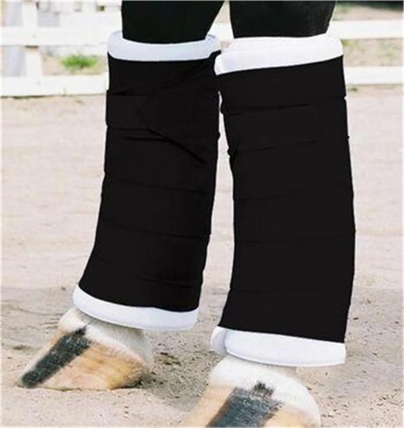 Shedrow Standing Bandages - Image 14