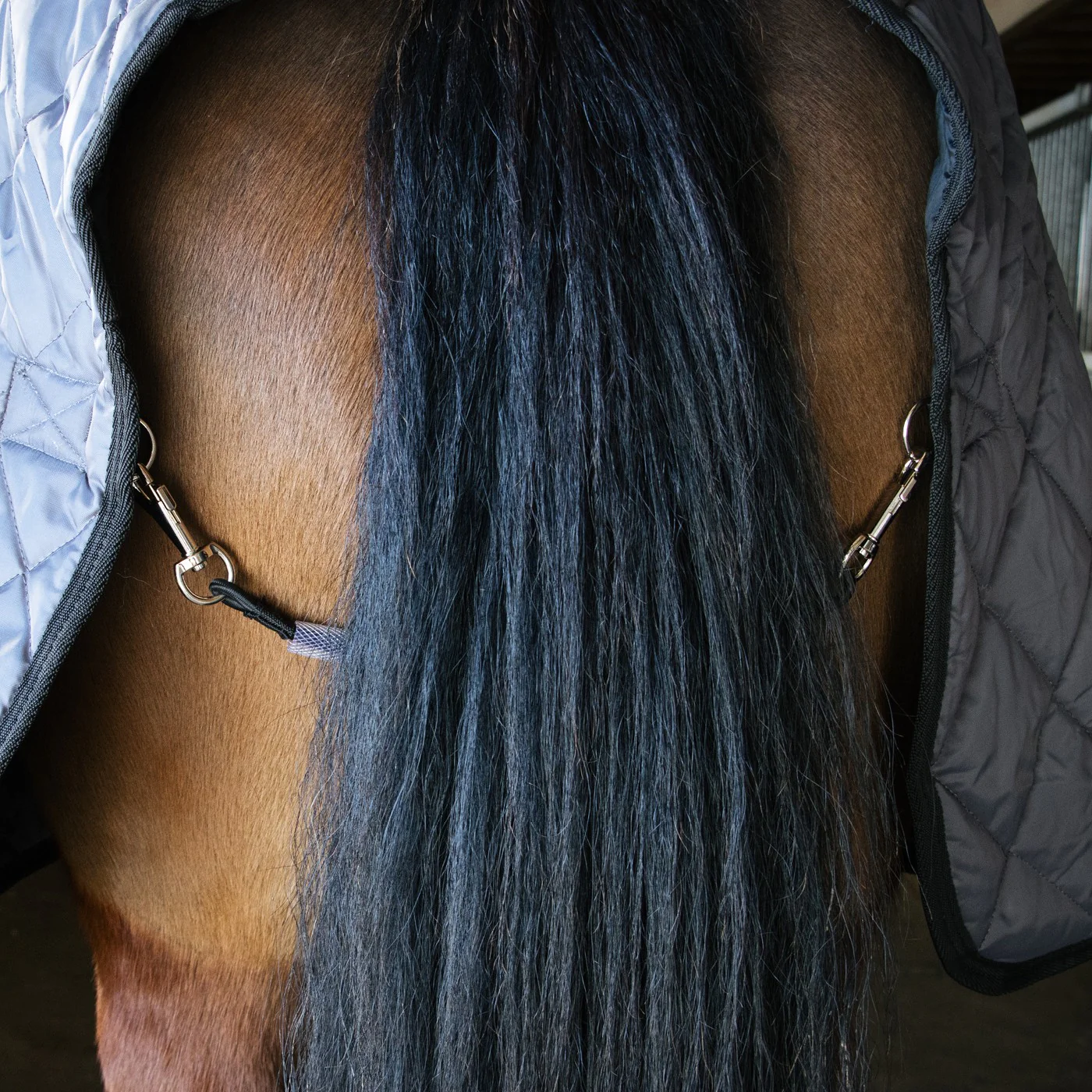 Shedrow Tail Cord Replacement - Image 9