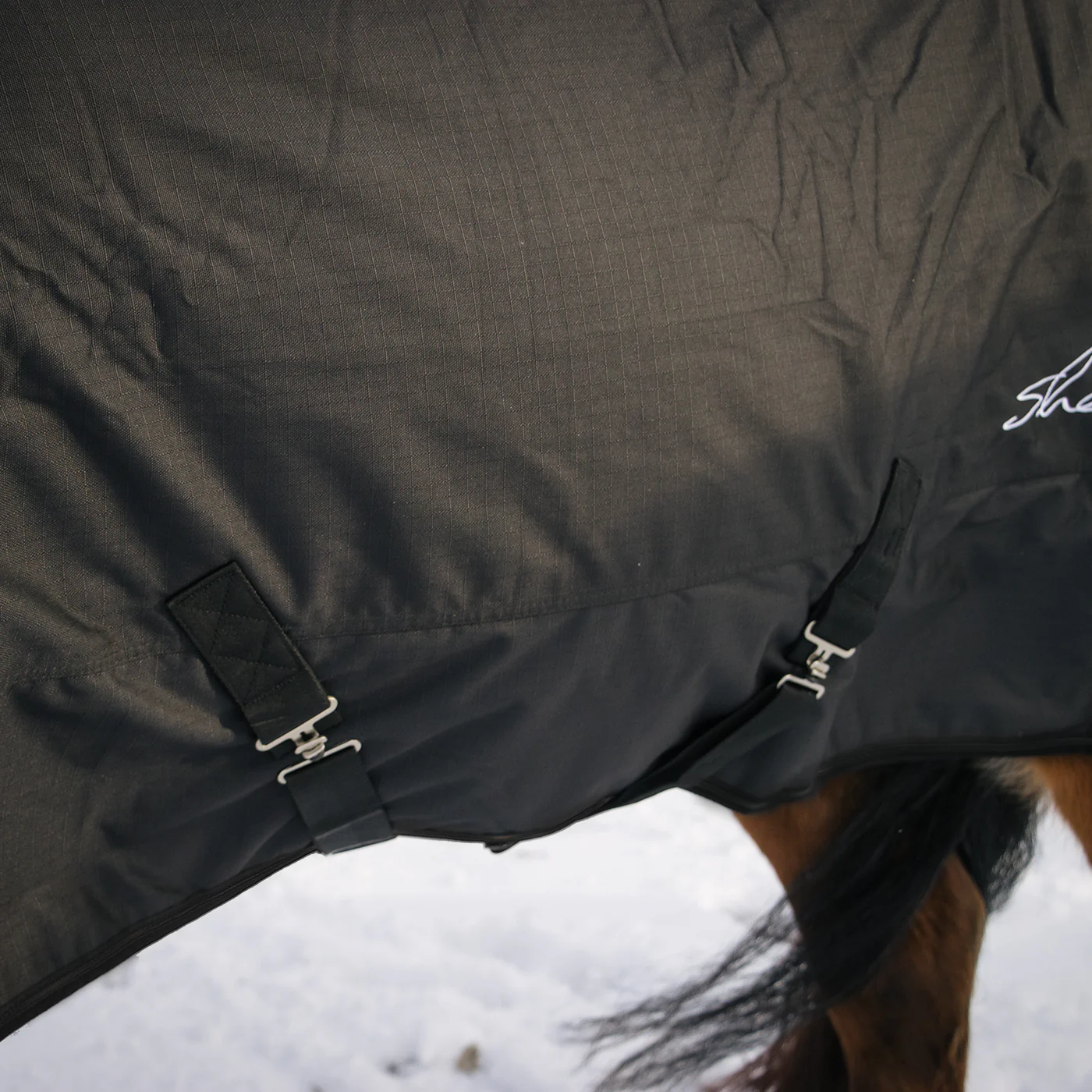 Shedrow Turnout Blanket 150 g - Image 3