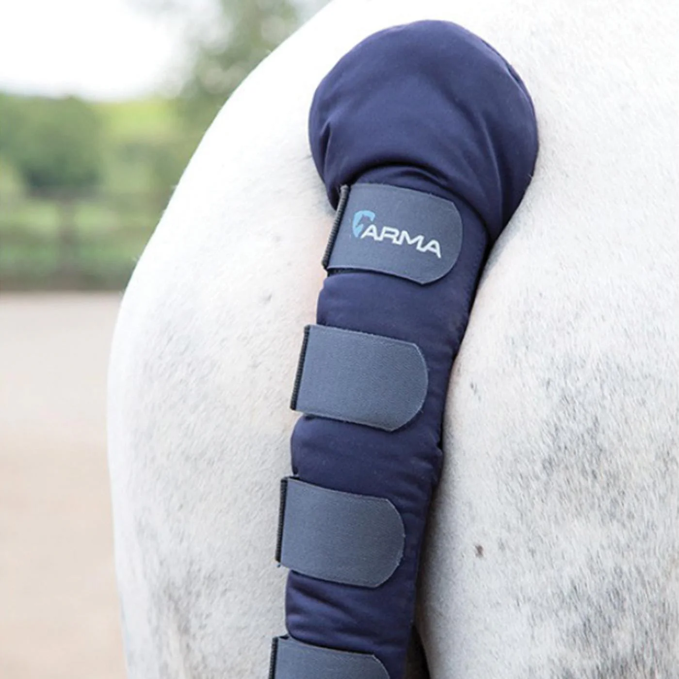 Shires Arma Padded Tail Guard - Image 2