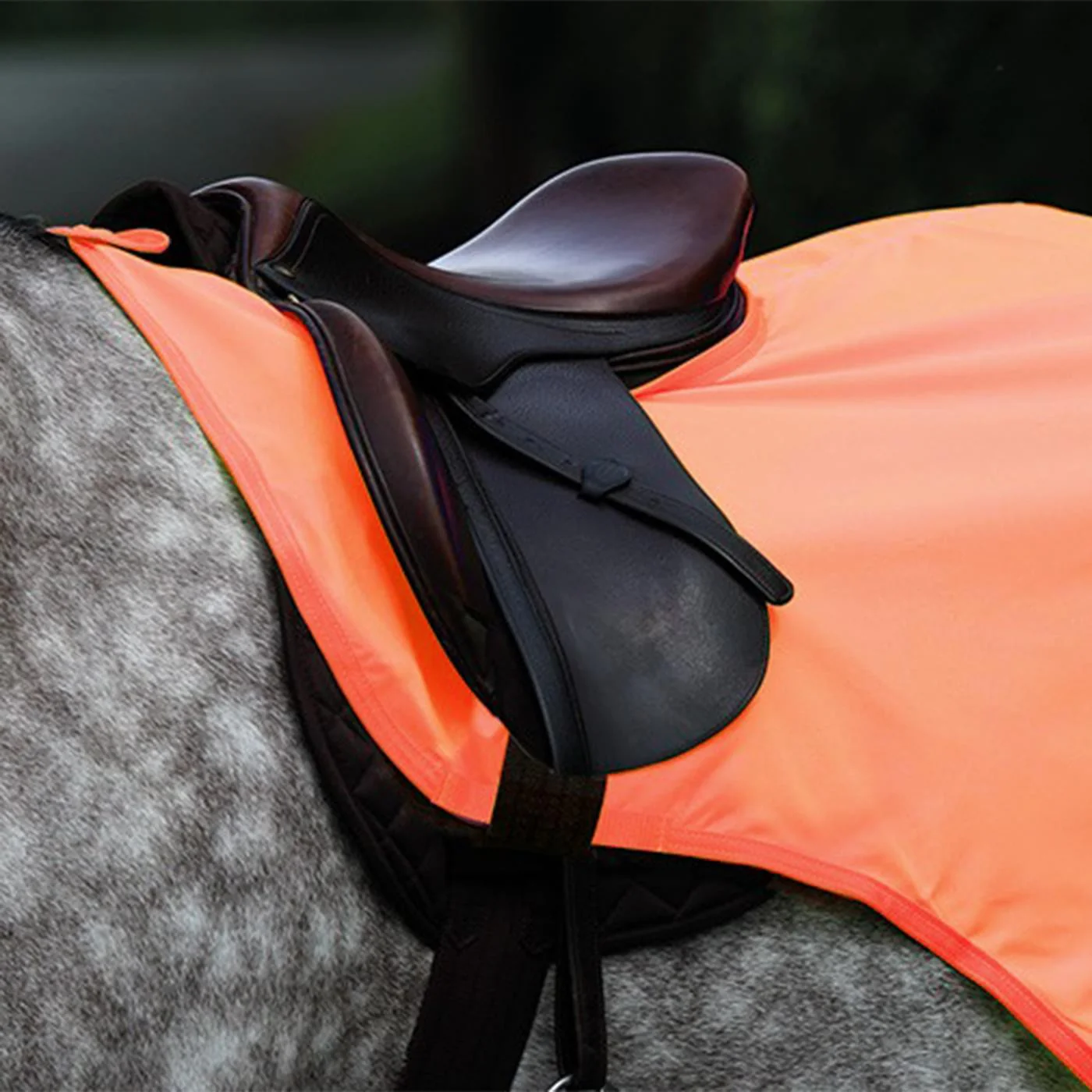 Shires Equi-Flector Reflective Exercise Sheet - Image 2