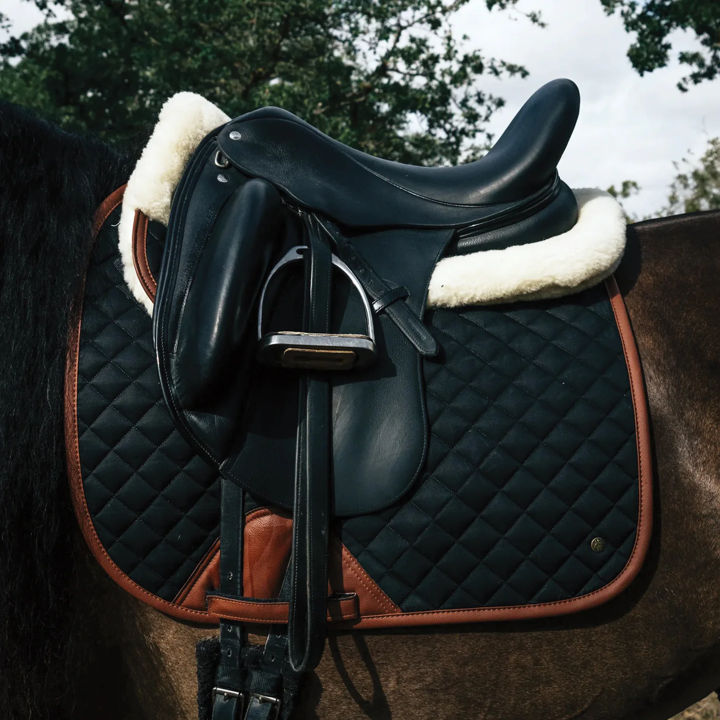 Sixteen Cypress Daily Sport Dressage Saddle Pad - Image 2