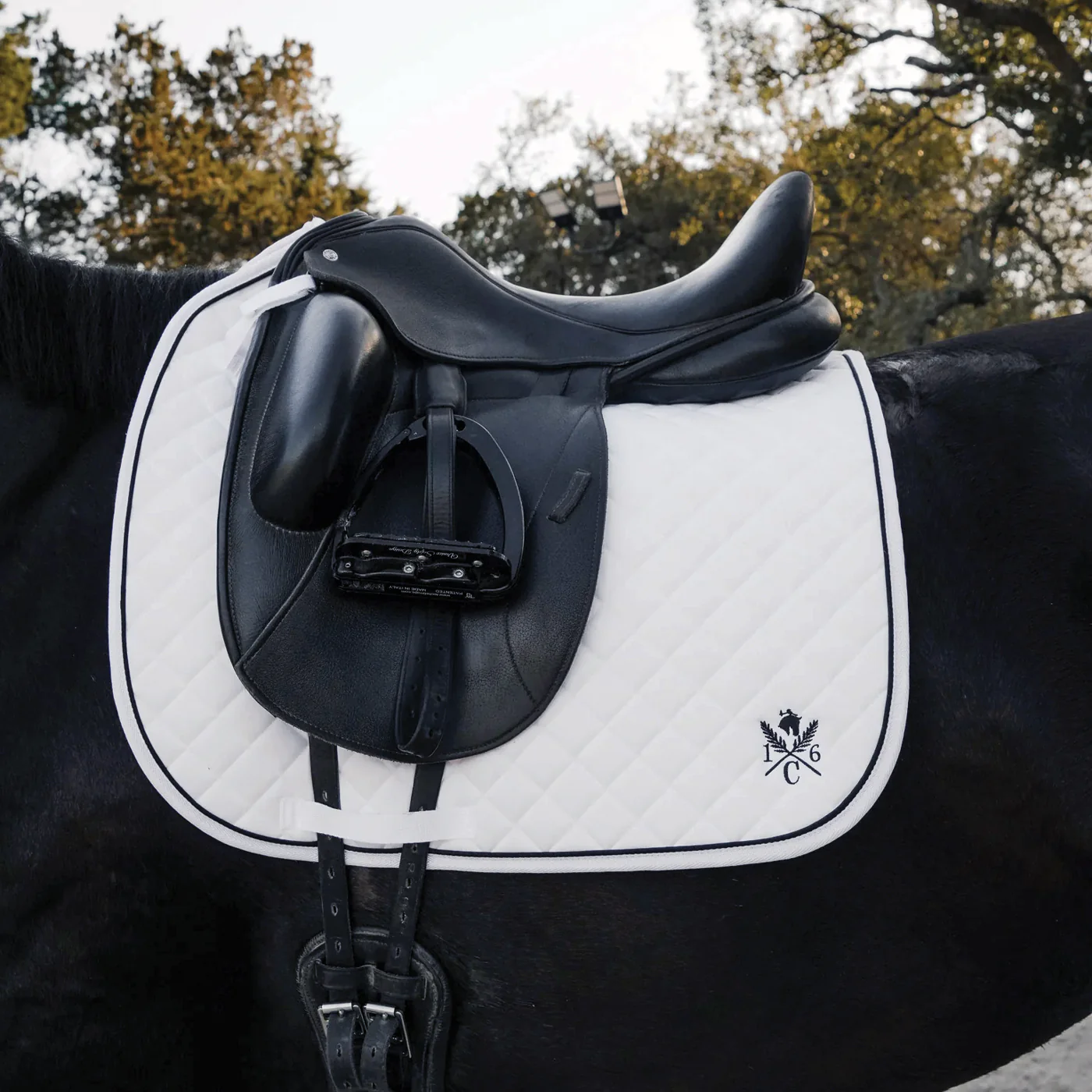 Sixteen Cypress Daily Sport Dressage Saddle Pad - Image 4