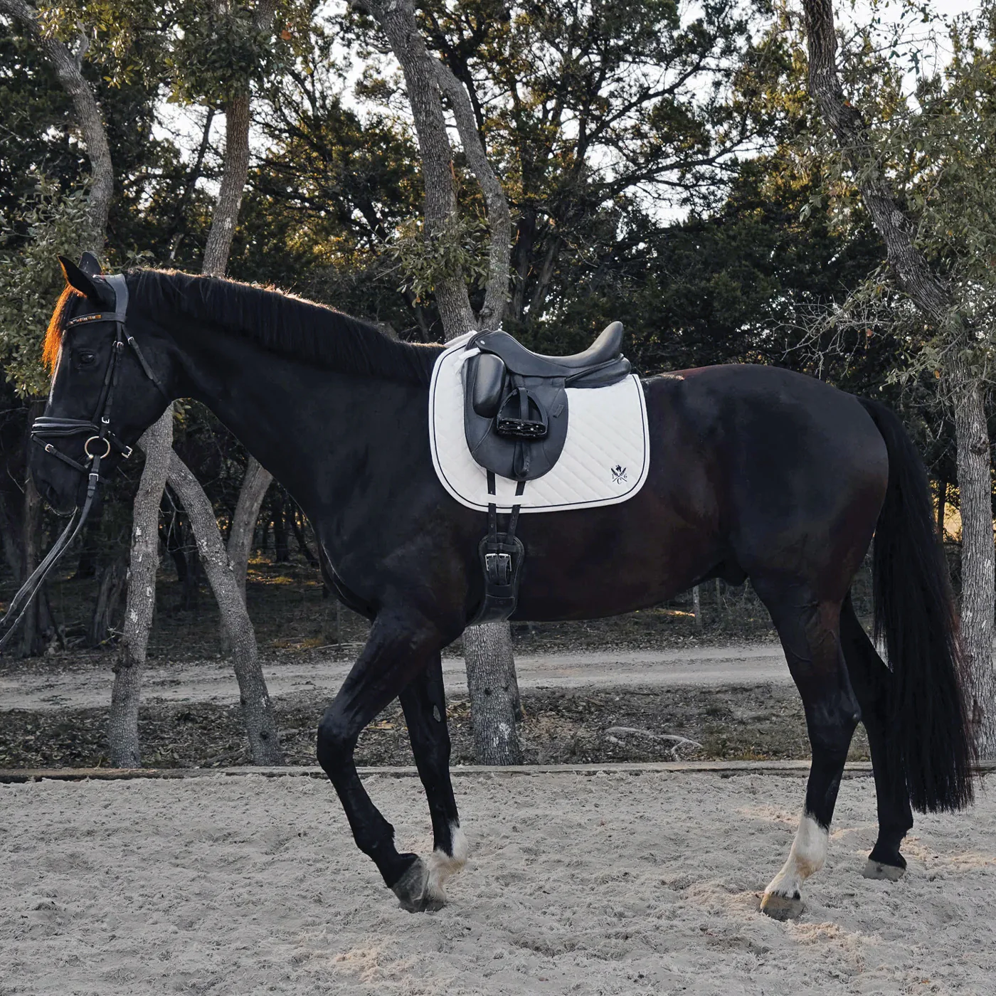 Sixteen Cypress Daily Sport Dressage Saddle Pad - Image 5