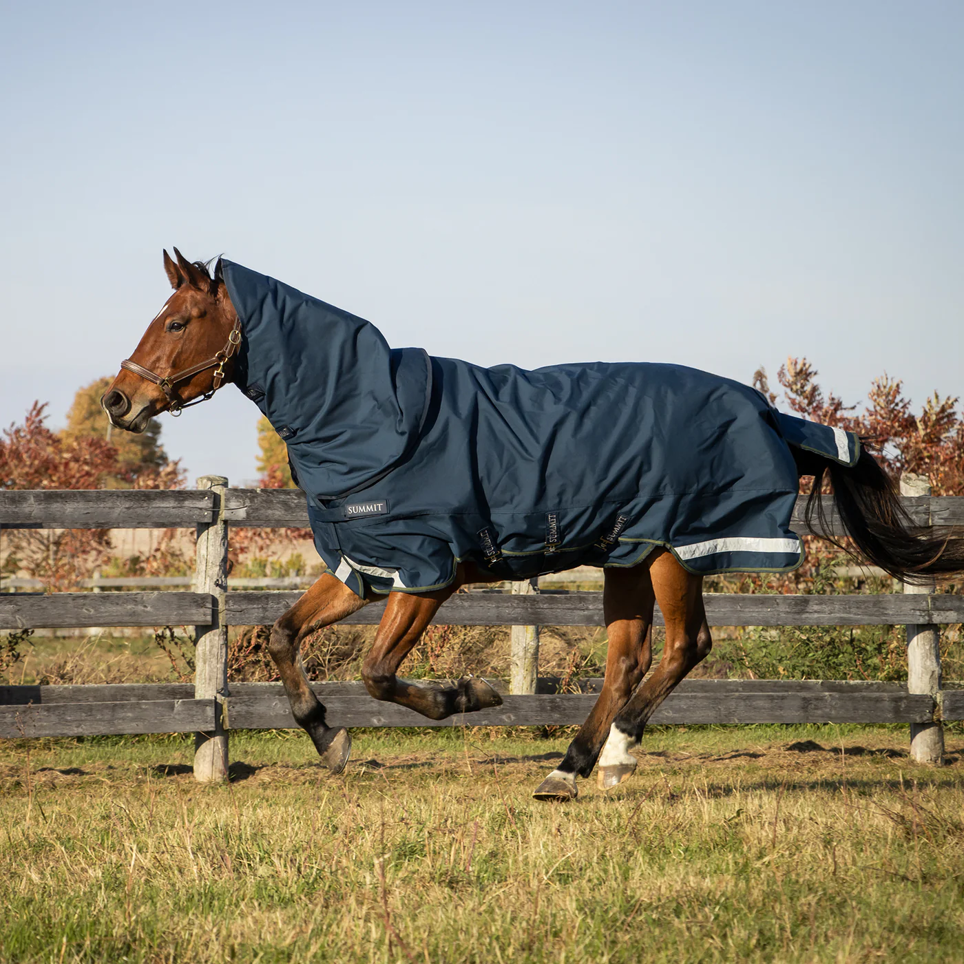 Summit Nova Turnout Blanket 100 g W/ Hood - Image 3