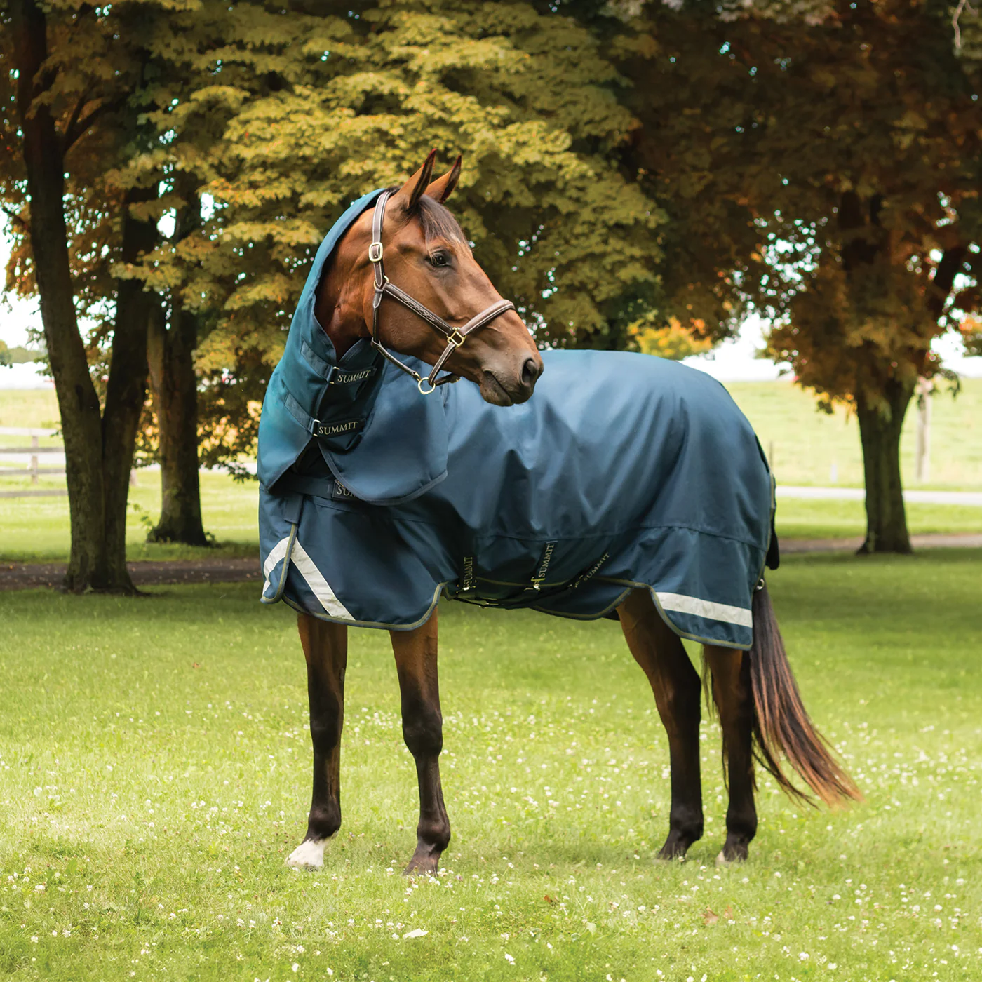 Summit Nova Turnout Blanket 100 g W/ Hood - Image 4