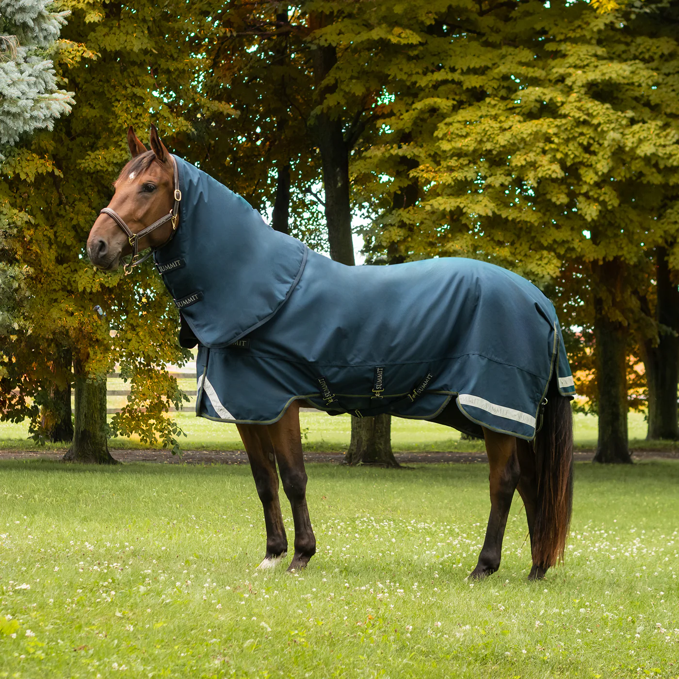 Summit Nova Turnout Blanket 100 g W/ Hood - Image 5