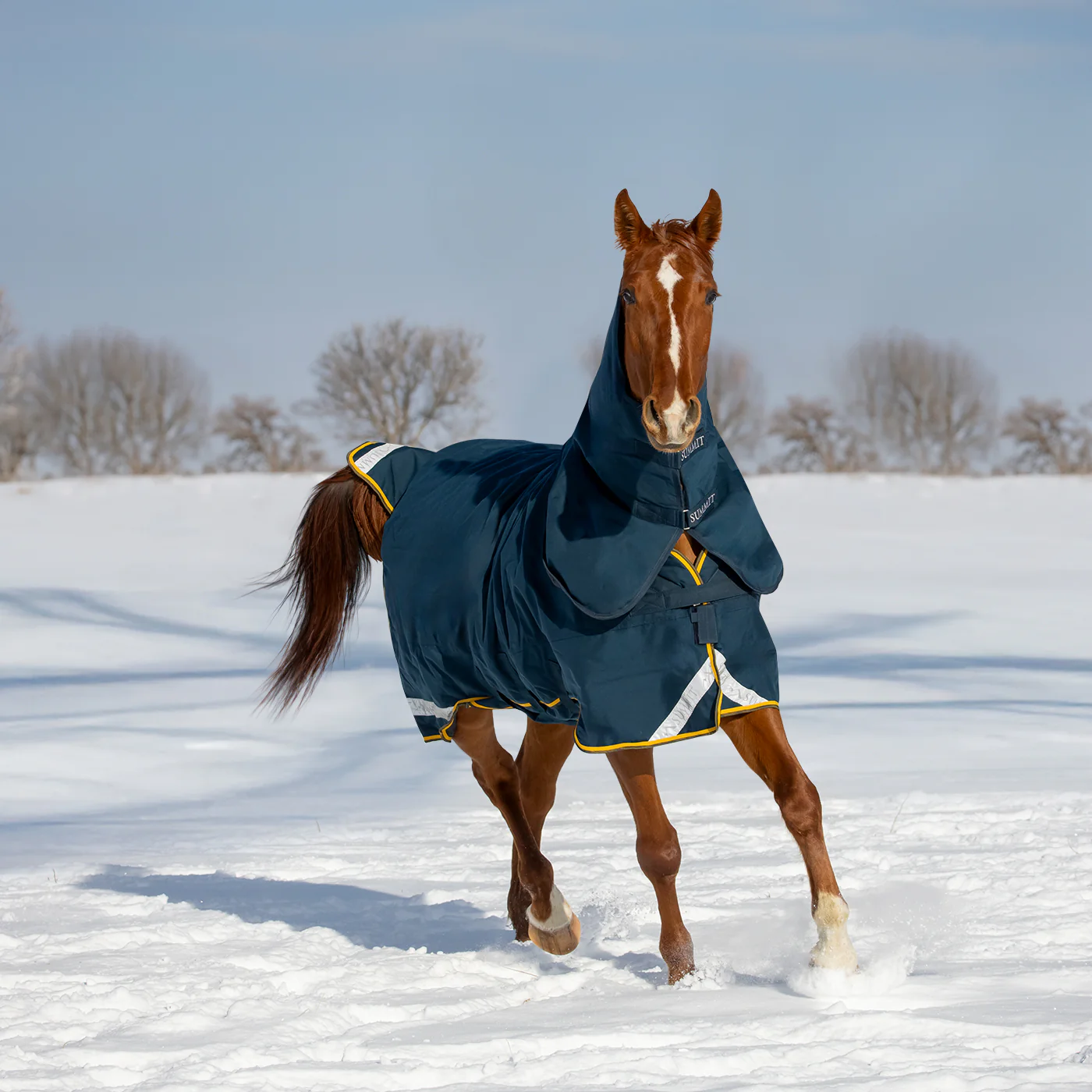 Summit Nova Turnout Blanket 250 g W/ 150 g Hood - Image 11
