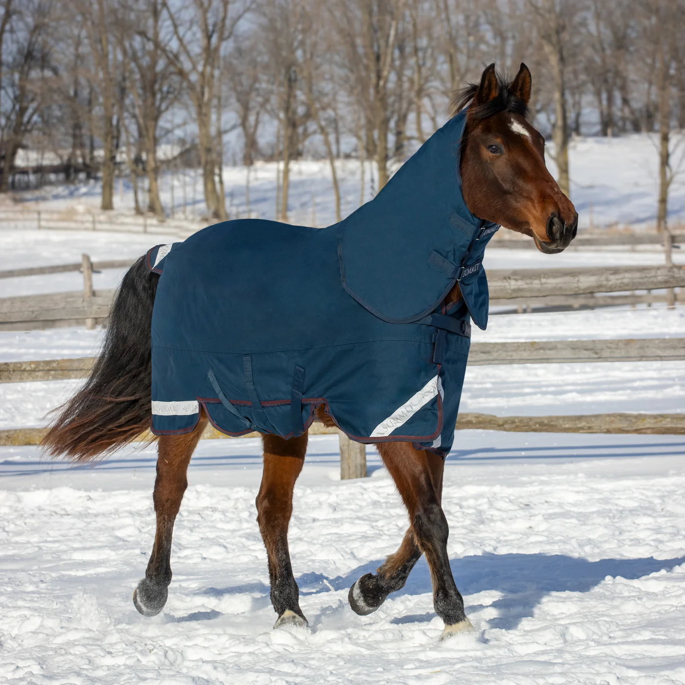 Summit Nova Turnout Blanket 400 g W/ 150 g Hood - Image 10
