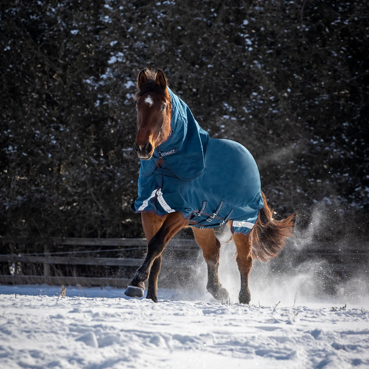 Summit Nova Turnout Blanket 400 g W/ 150 g Hood - Image 11