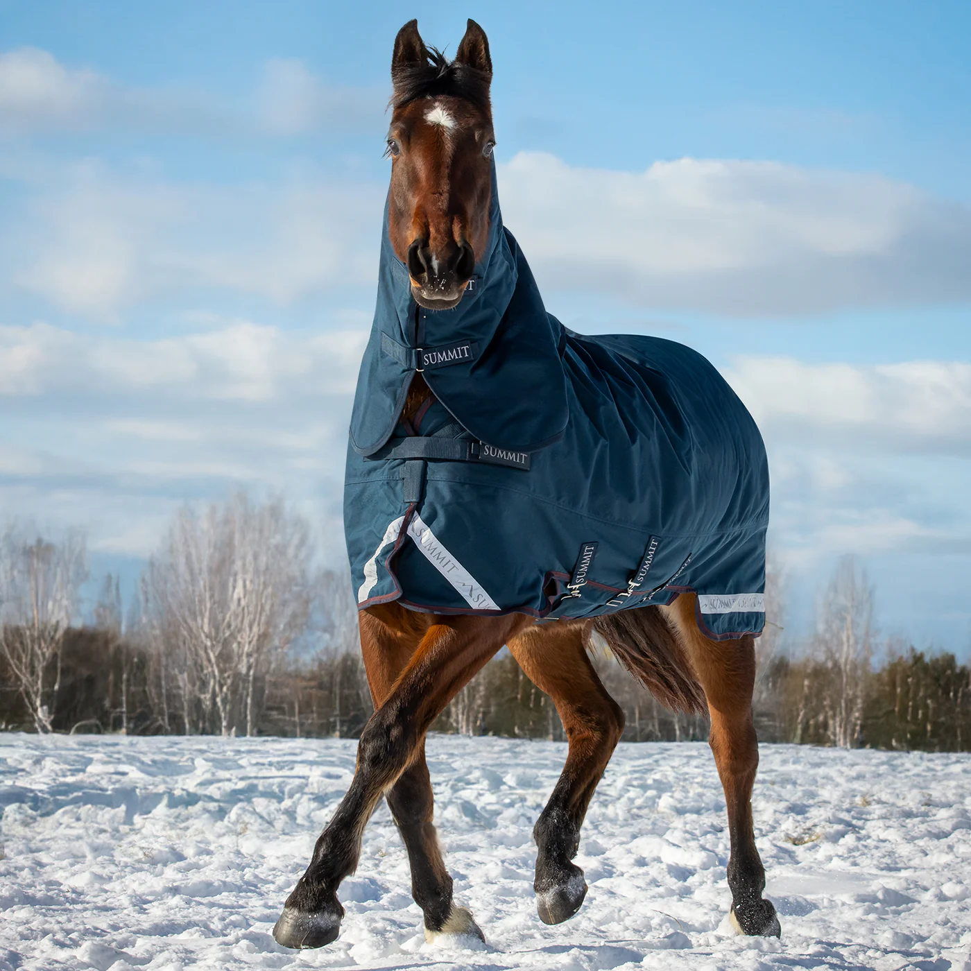 Summit Nova Turnout Blanket 400 g W/ 150 g Hood - Image 12