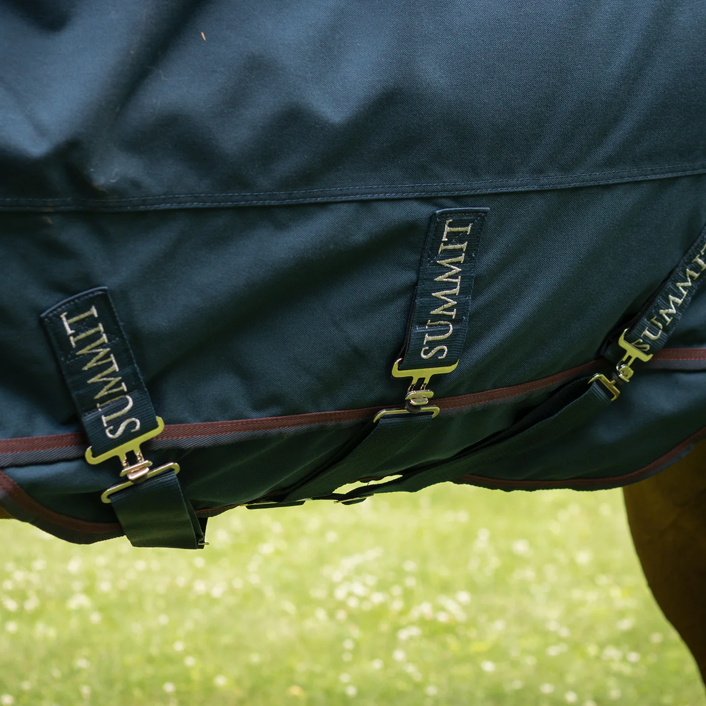 Summit Nova Turnout Blanket 400 g W/ 150 g Hood - Image 2