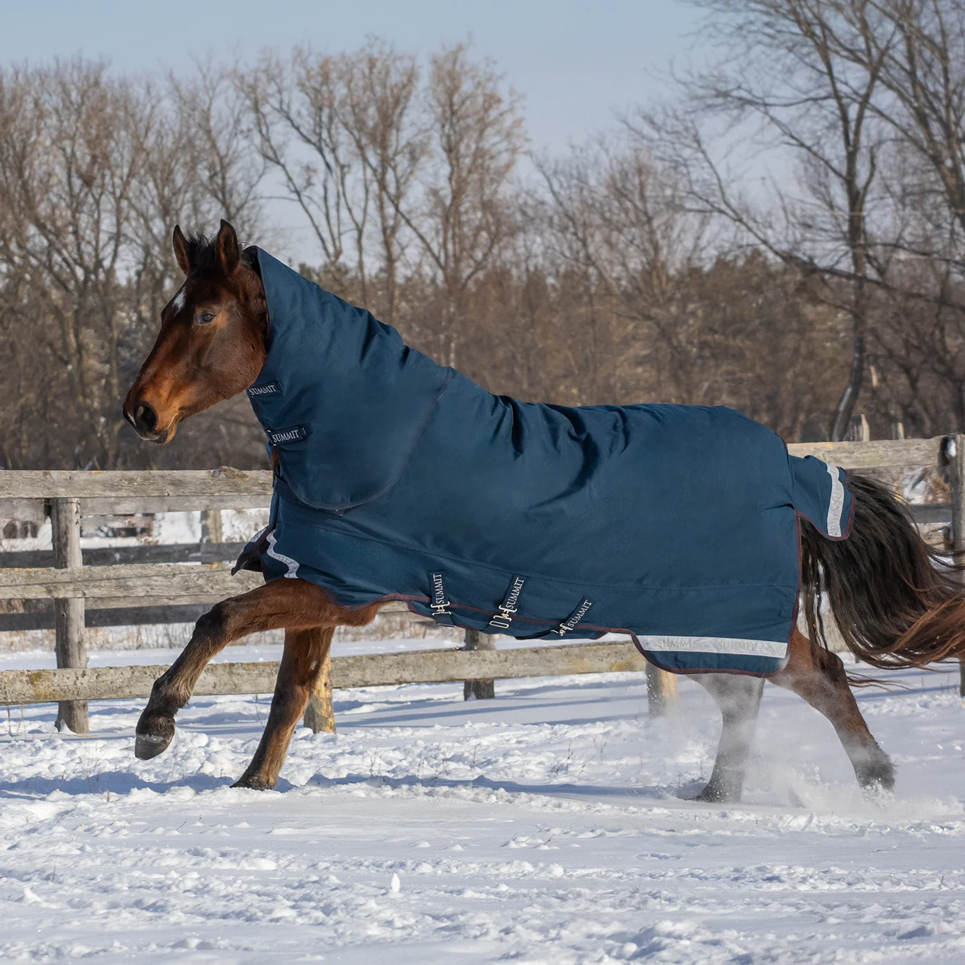 Summit Nova Turnout Blanket 400 g W/ 150 g Hood - Image 7