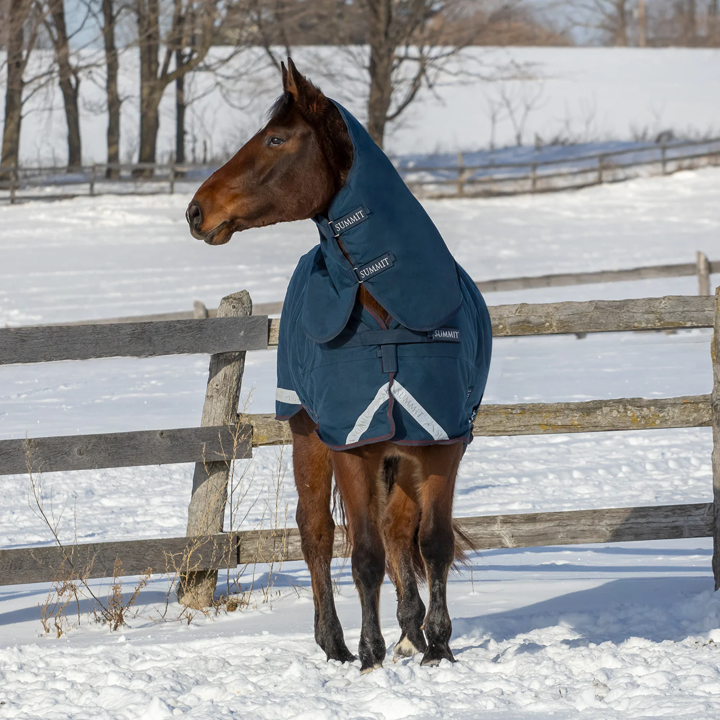 Summit Nova Turnout Blanket 400 g W/ 150 g Hood - Image 8