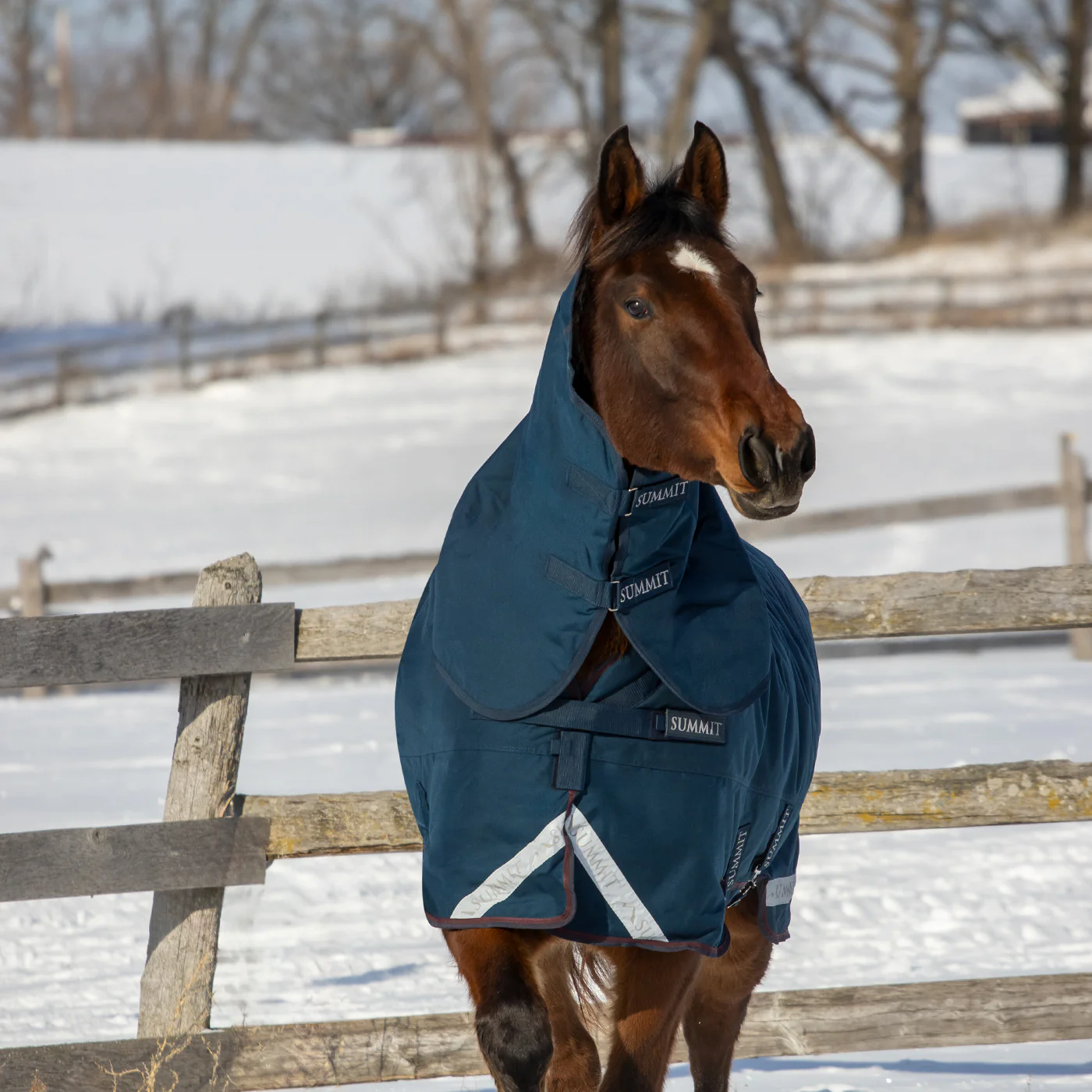 Summit Nova Turnout Blanket 400 g W/ 150 g Hood - Image 9