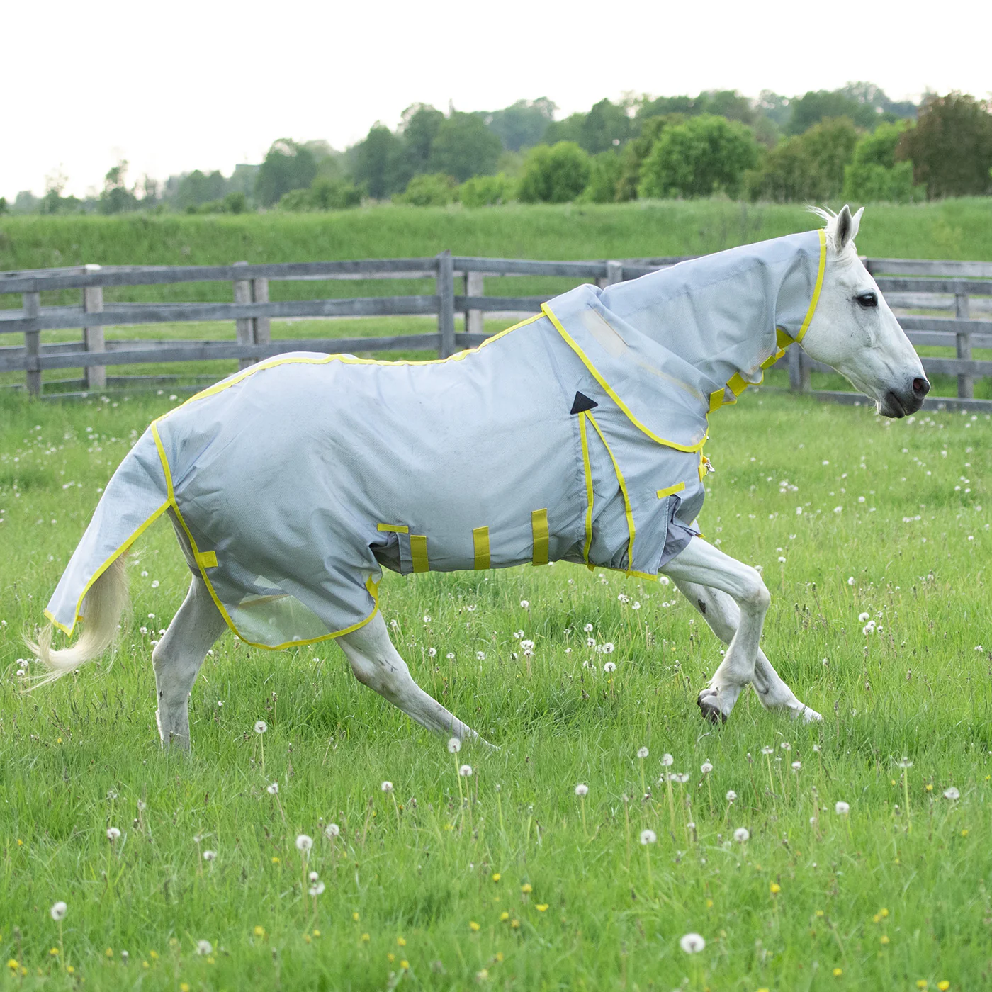 Summit Sirocco Fly Sheet W/ Detachable Hood - Image 2