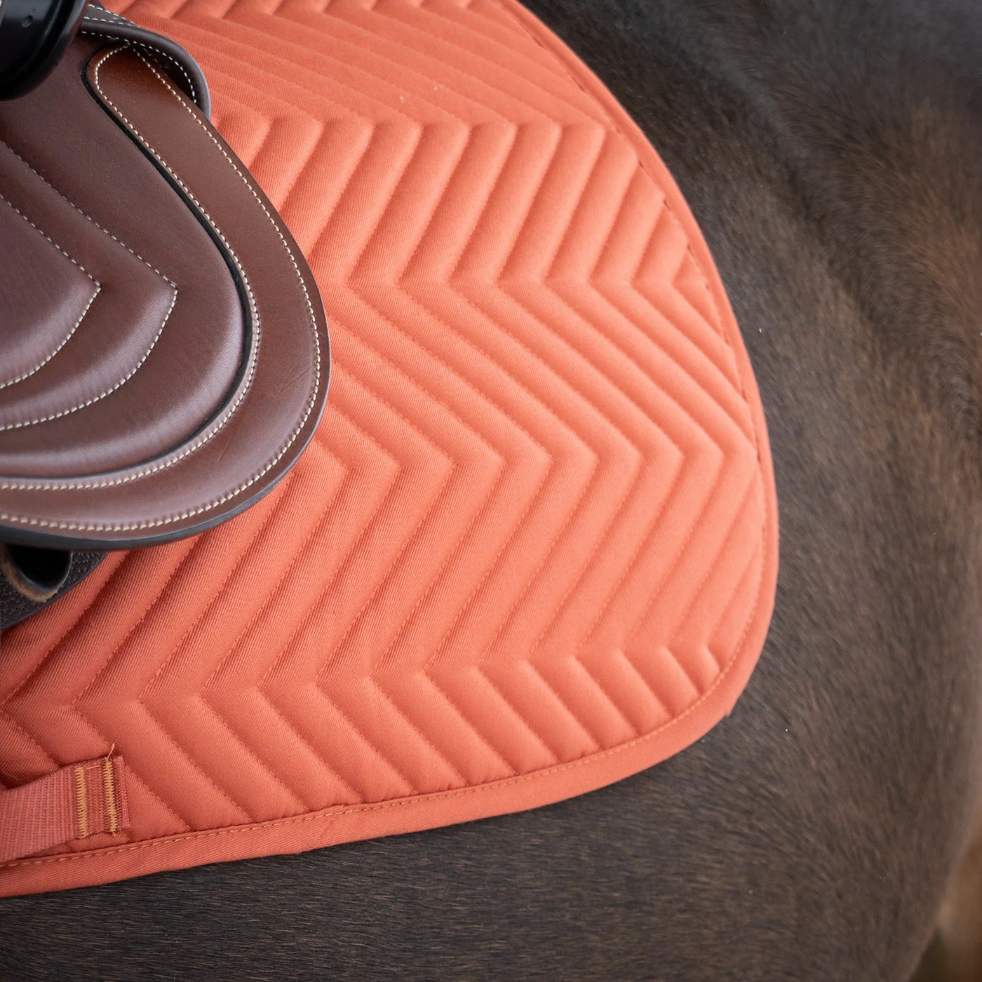Everyday Essential Saddle Pad - Image 14