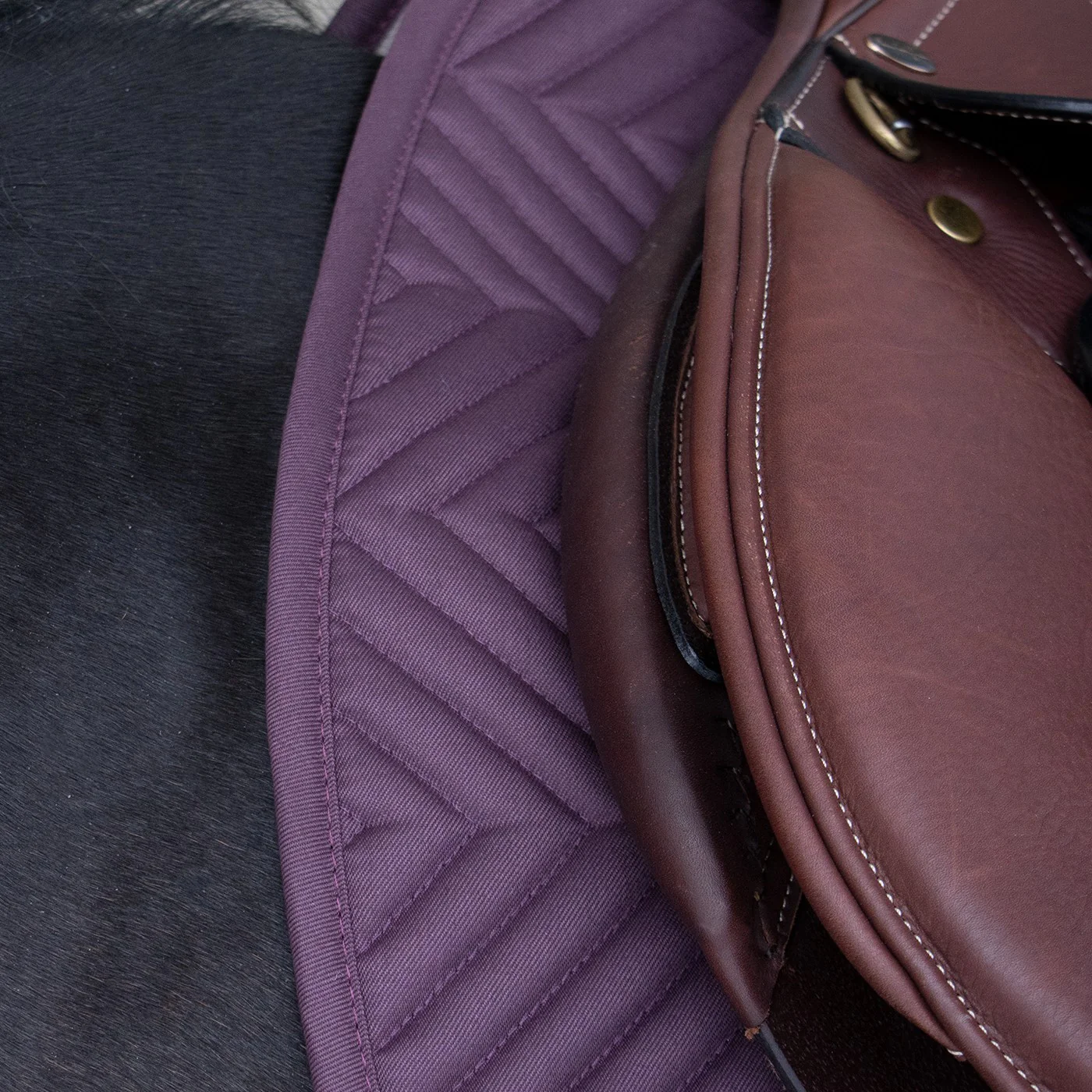 Everyday Essential Saddle Pad - Image 8