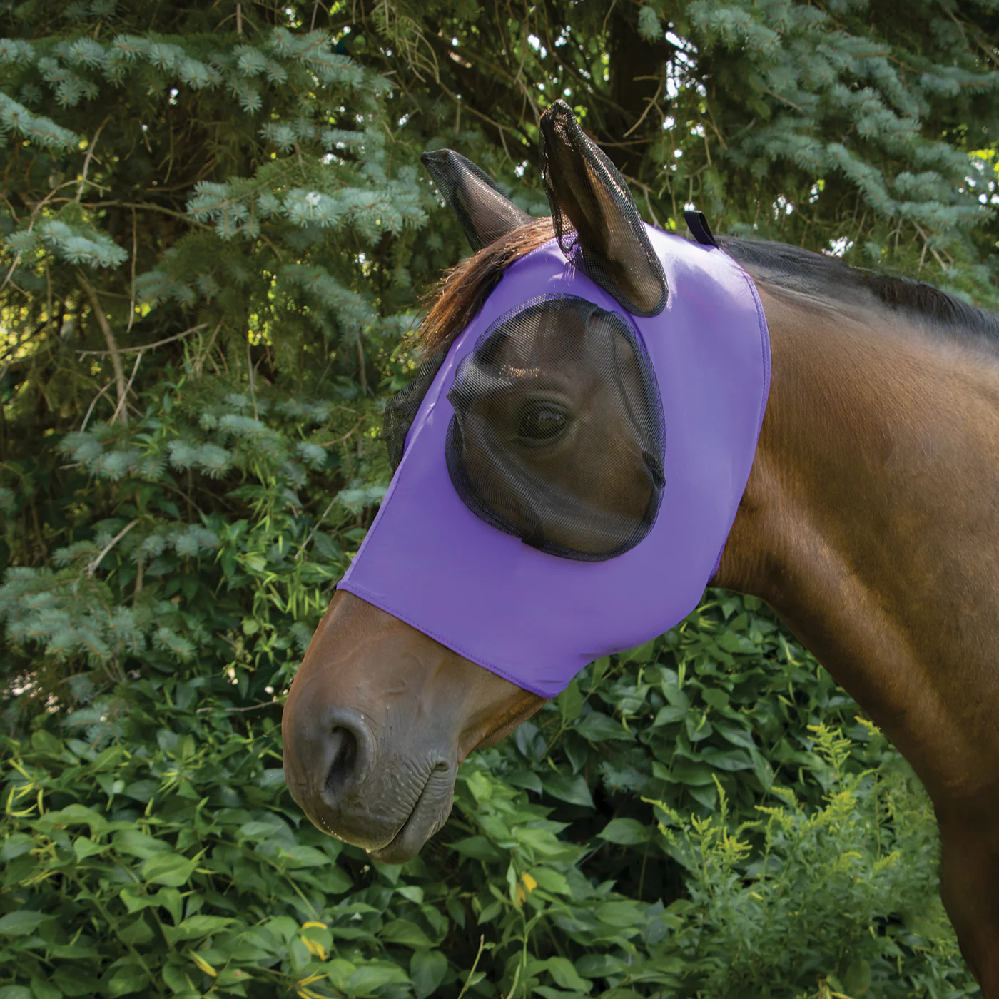 Supra Lycra Fly Mask W/ Forelock Hole - Image 22