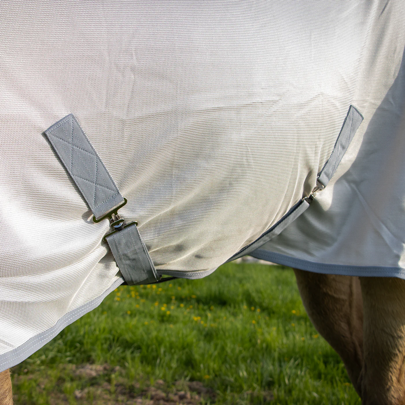 Supra Fly Sheet - Image 2