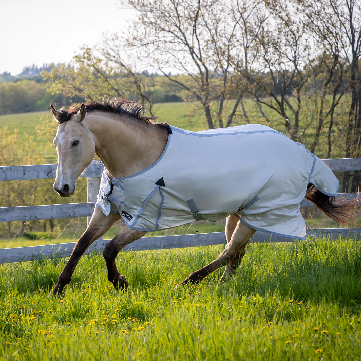Supra Fly Sheet - Image 6