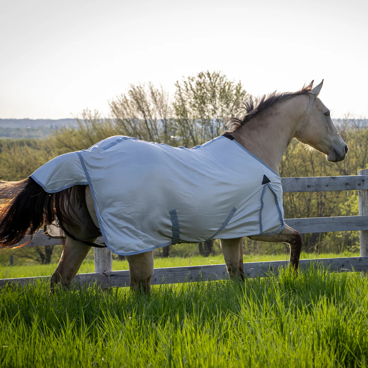 Supra Fly Sheet - Image 7