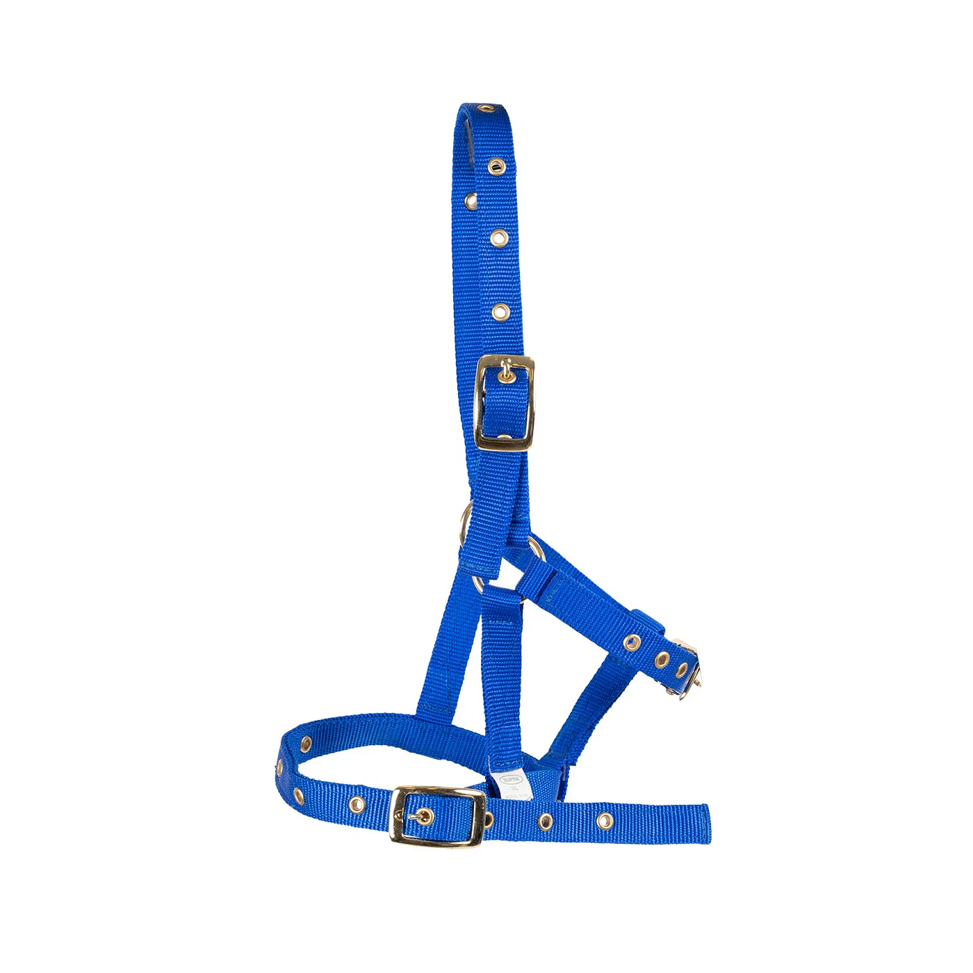 Supra Foal Halter - Image 2