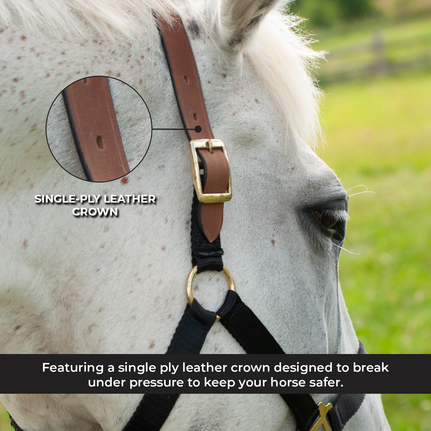 Supra Nylon Halter W/ Leather Crown - Image 10